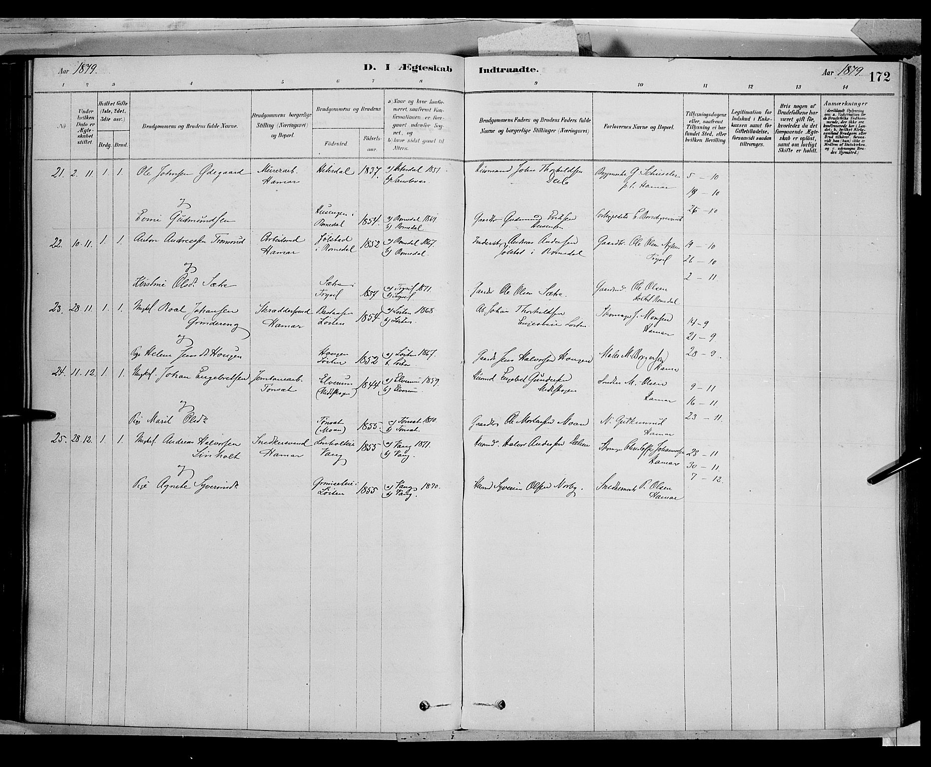 Vang prestekontor, Hedmark, AV/SAH-PREST-008/H/Ha/Haa/L0016: Parish register (official) no. 16, 1878-1889, p. 172