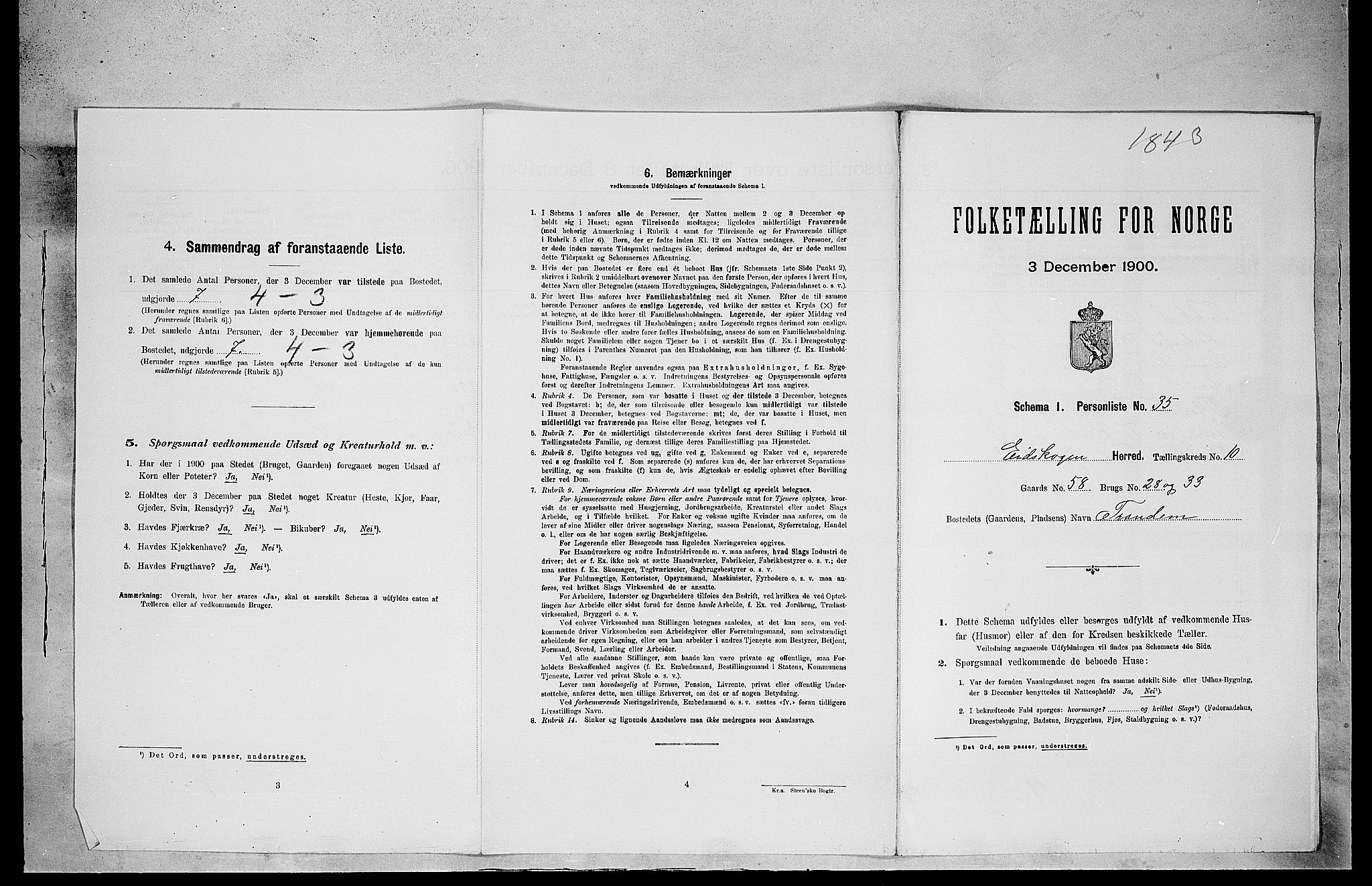 SAH, 1900 census for Eidskog, 1900, p. 1291