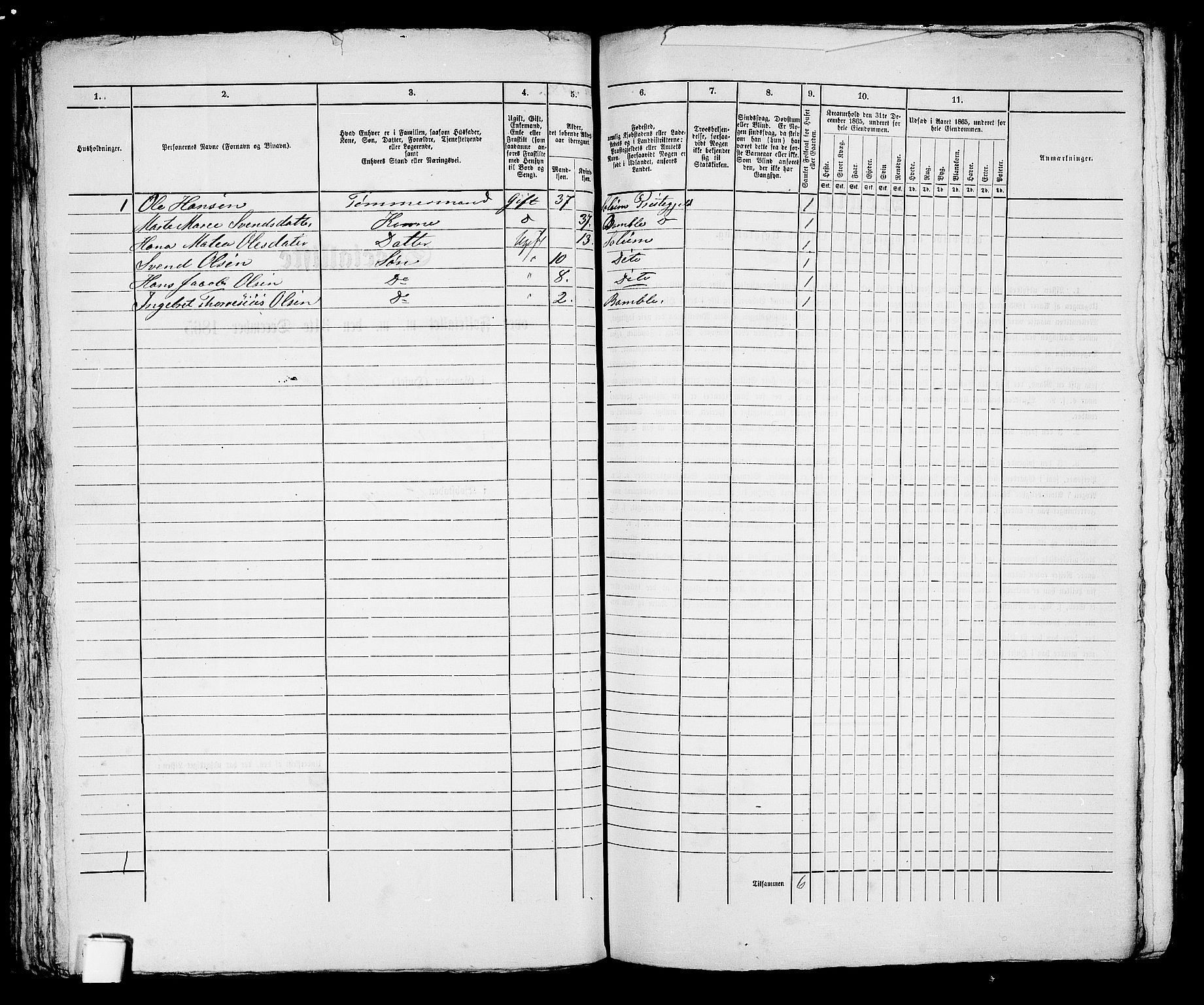 RA, 1865 census for Brevik, 1865, p. 173