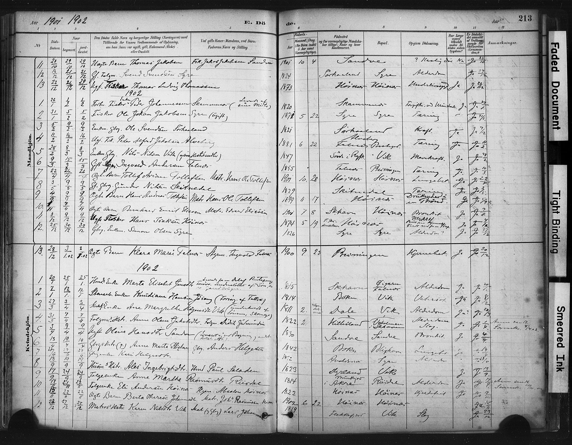 Skudenes sokneprestkontor, SAST/A -101849/H/Ha/Haa/L0009: Parish register (official) no. A 6, 1882-1912, p. 213