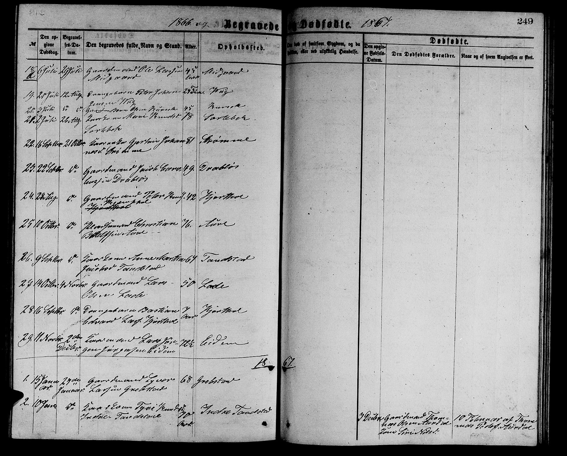 Ministerialprotokoller, klokkerbøker og fødselsregistre - Møre og Romsdal, AV/SAT-A-1454/523/L0338: Parish register (copy) no. 523C01, 1865-1877, p. 249