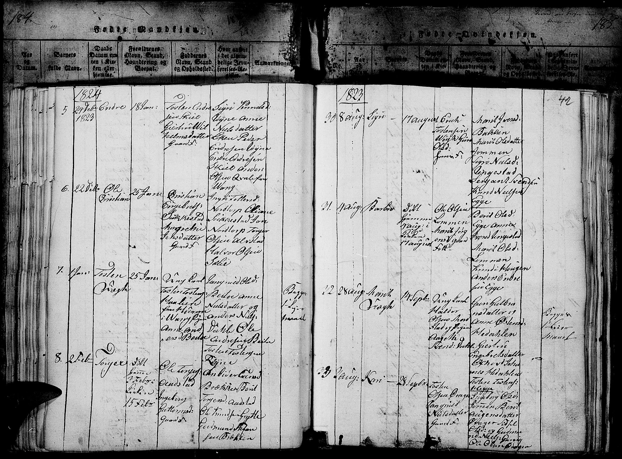 Slidre prestekontor, SAH/PREST-134/H/Ha/Haa/L0002: Parish register (official) no. 2, 1814-1830, p. 185p