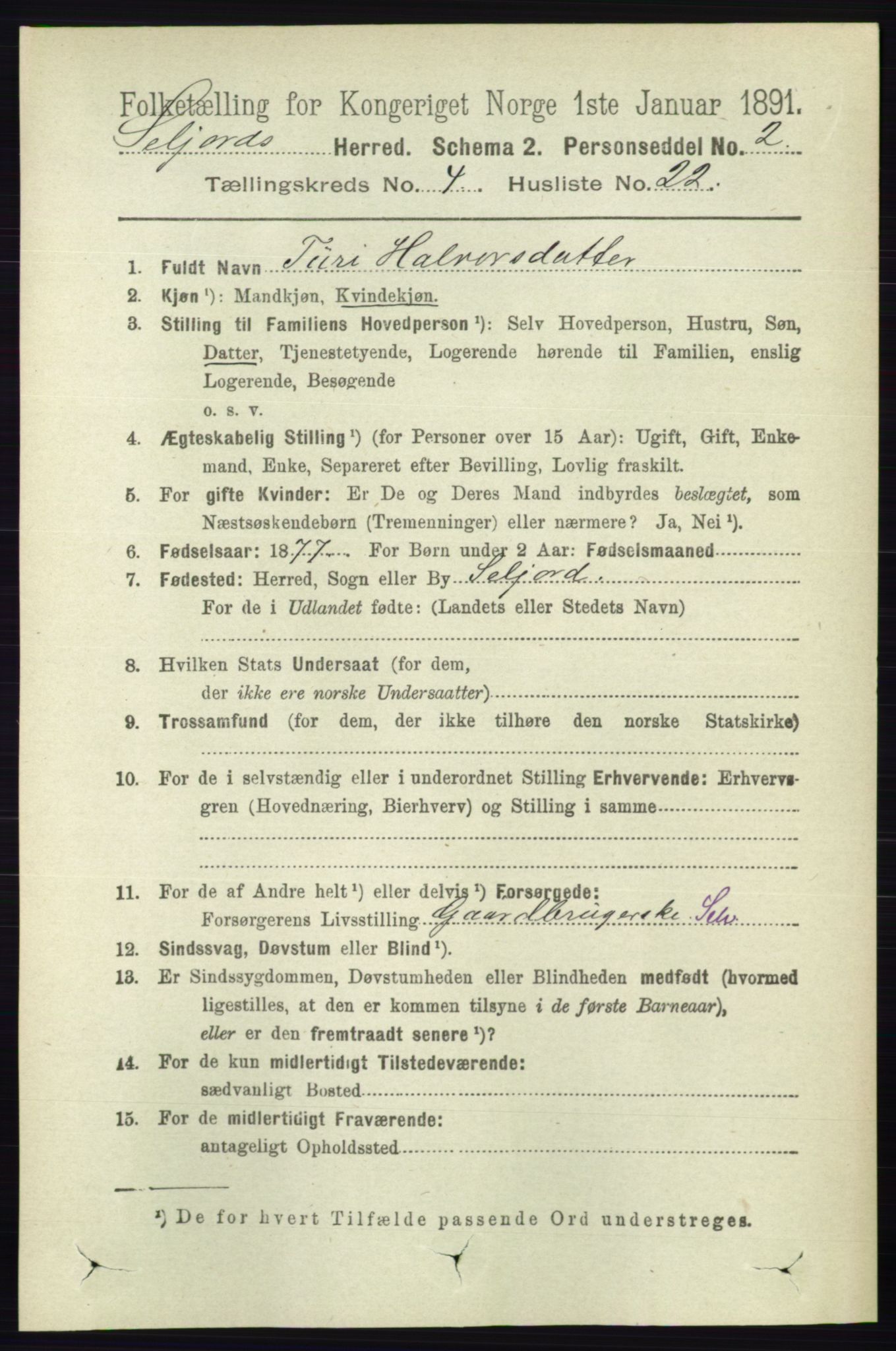 RA, 1891 census for 0828 Seljord, 1891, p. 1404