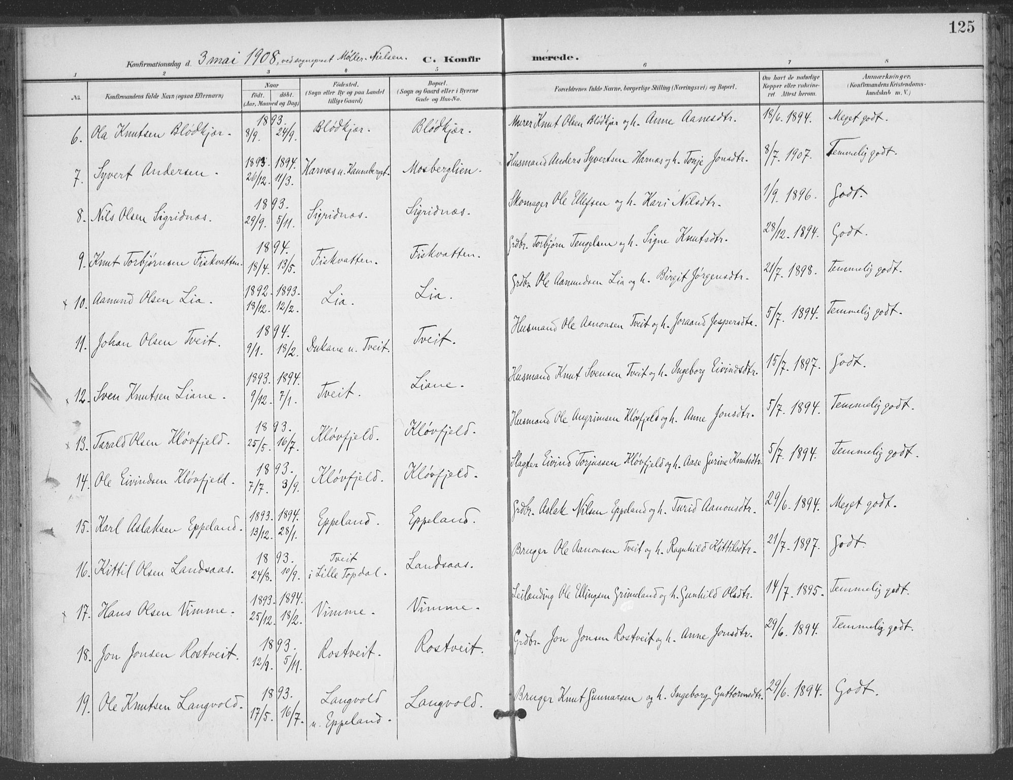 Åmli sokneprestkontor, AV/SAK-1111-0050/F/Fa/Fac/L0012: Parish register (official) no. A 12, 1900-1914, p. 125