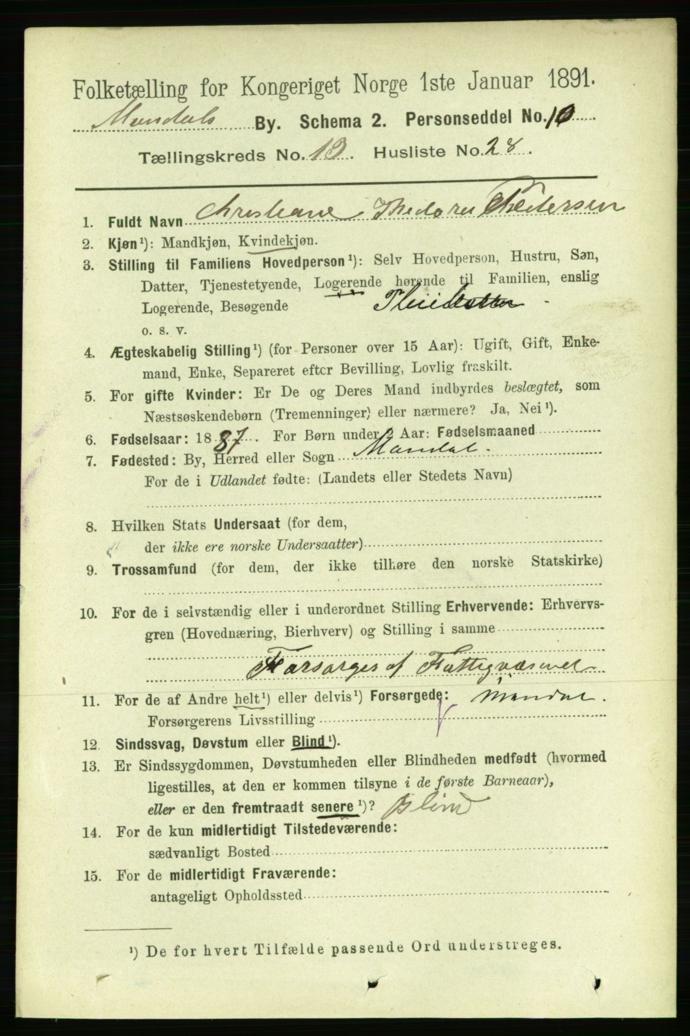 RA, 1891 census for 1002 Mandal, 1891, p. 3155