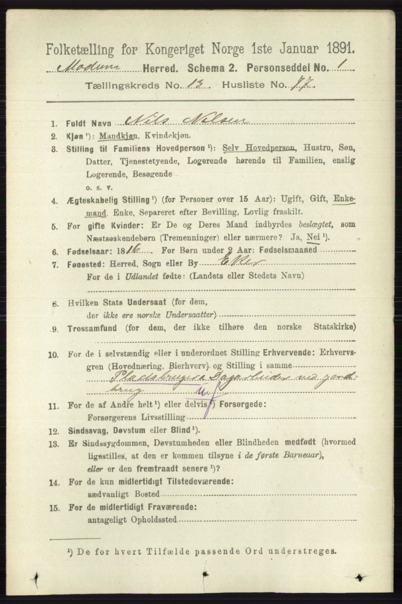 RA, 1891 census for 0623 Modum, 1891, p. 5347