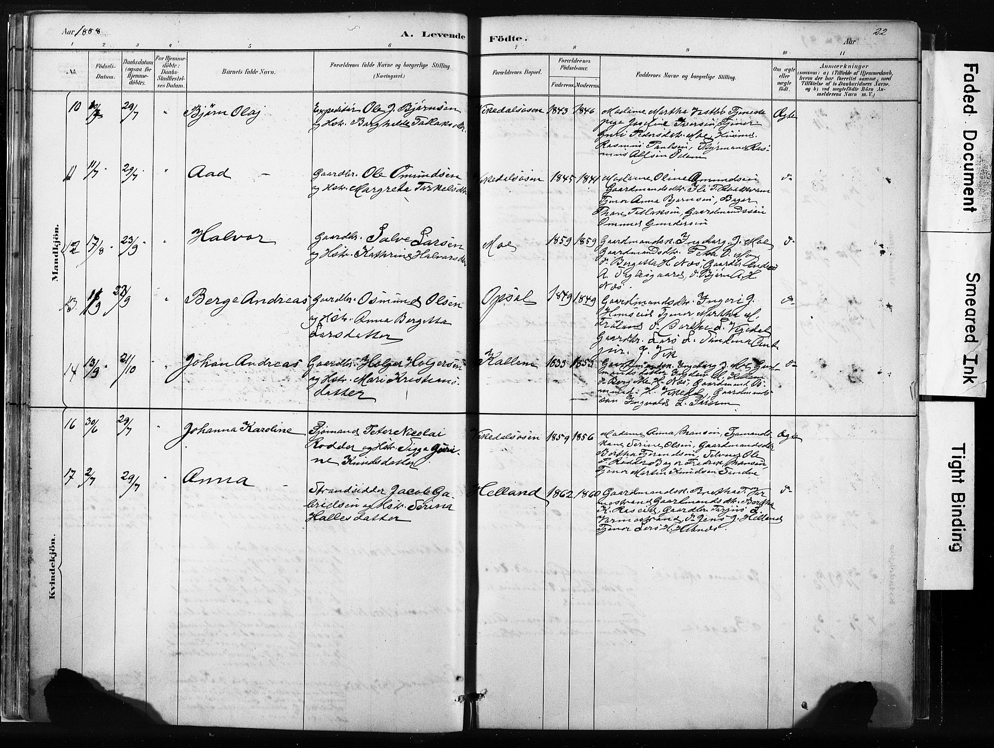 Vikedal sokneprestkontor, AV/SAST-A-101840/01/IV: Parish register (official) no. A 10, 1884-1907, p. 22