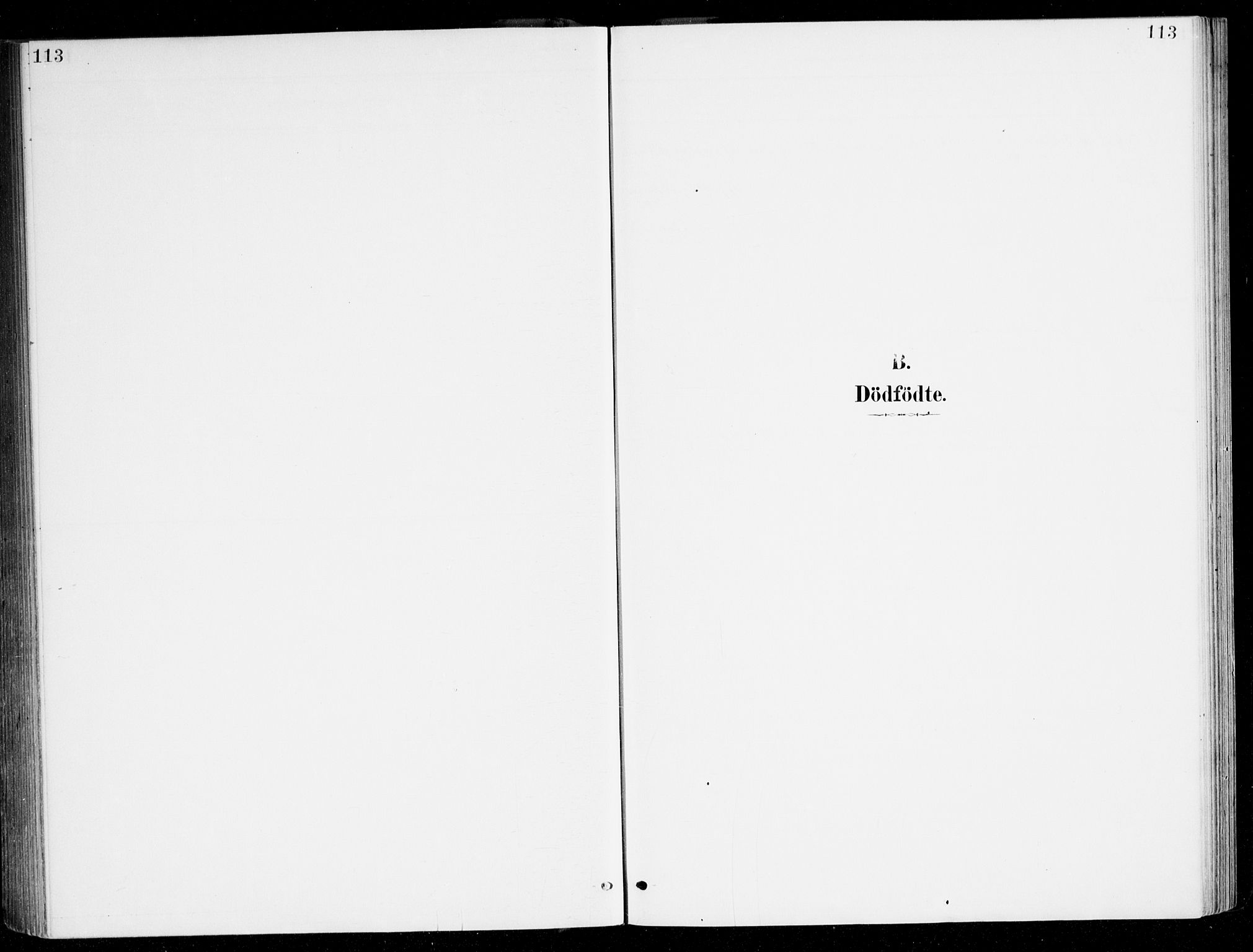 Haus sokneprestembete, SAB/A-75601/H/Haa/Haad/L0001: Parish register (official) no. D 1, 1887-1898, p. 113