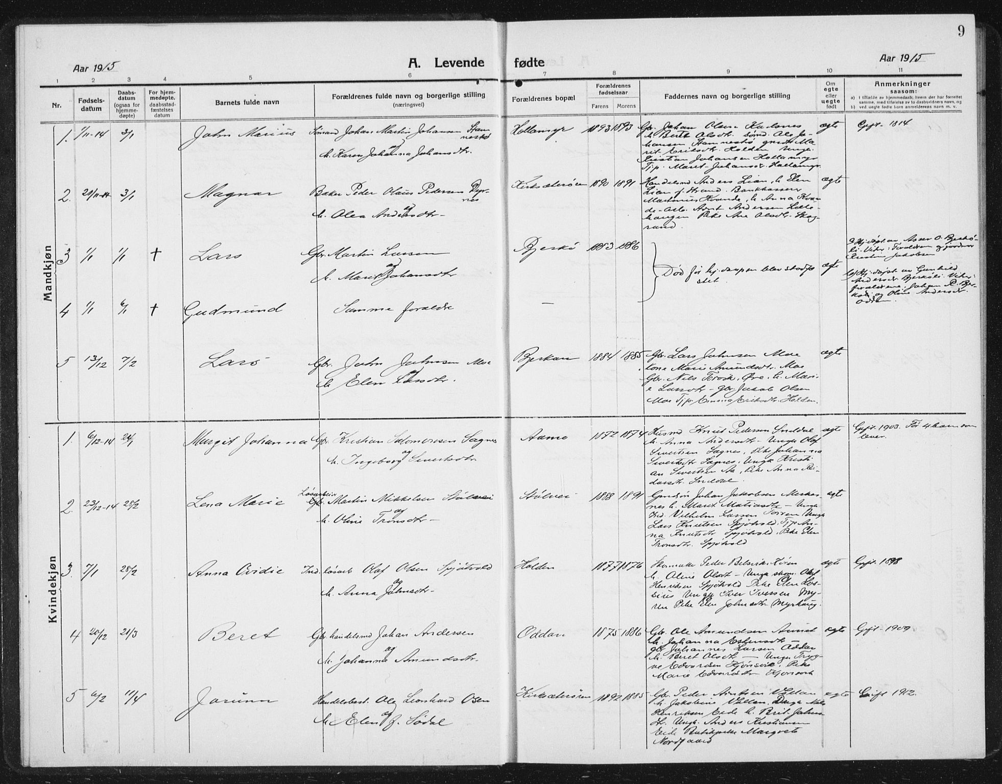 Ministerialprotokoller, klokkerbøker og fødselsregistre - Sør-Trøndelag, SAT/A-1456/630/L0506: Parish register (copy) no. 630C04, 1914-1933, p. 9