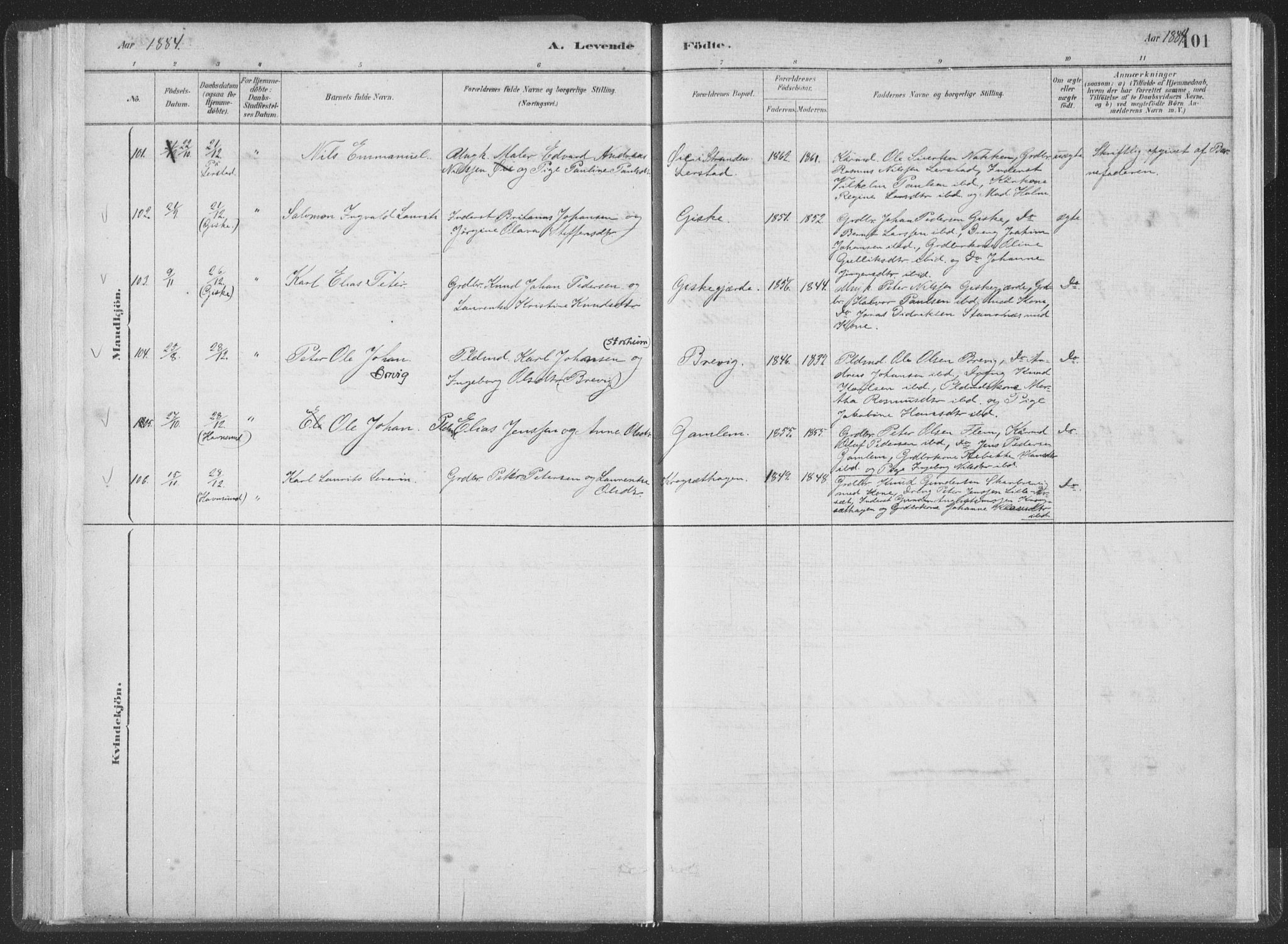 Ministerialprotokoller, klokkerbøker og fødselsregistre - Møre og Romsdal, AV/SAT-A-1454/528/L0401: Parish register (official) no. 528A12I, 1880-1920, p. 101