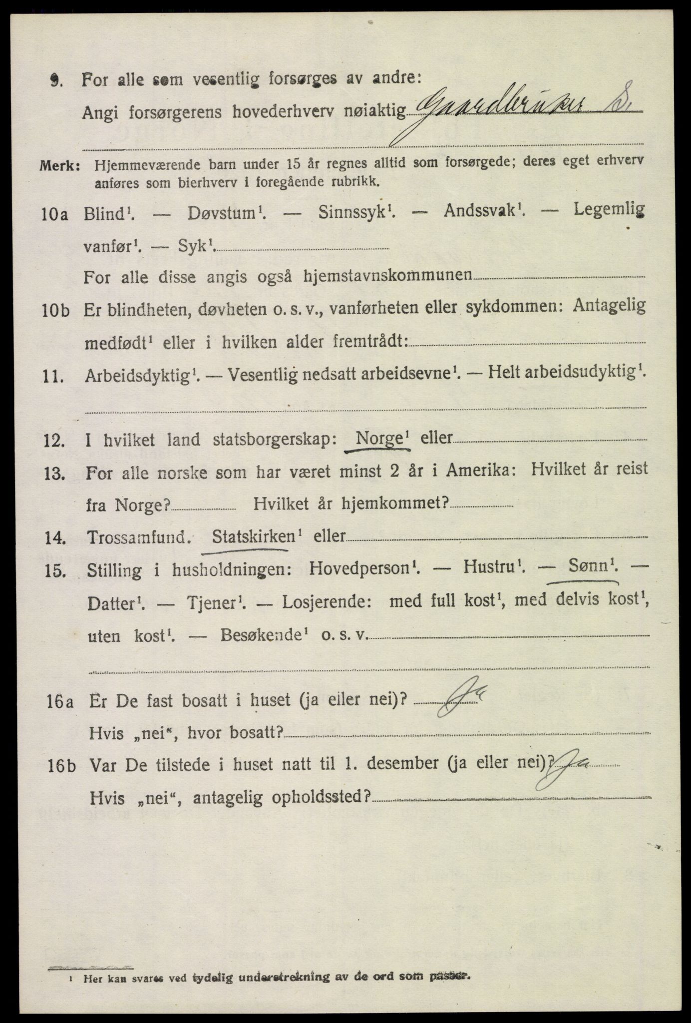 SAH, 1920 census for Ringsaker, 1920, p. 19341