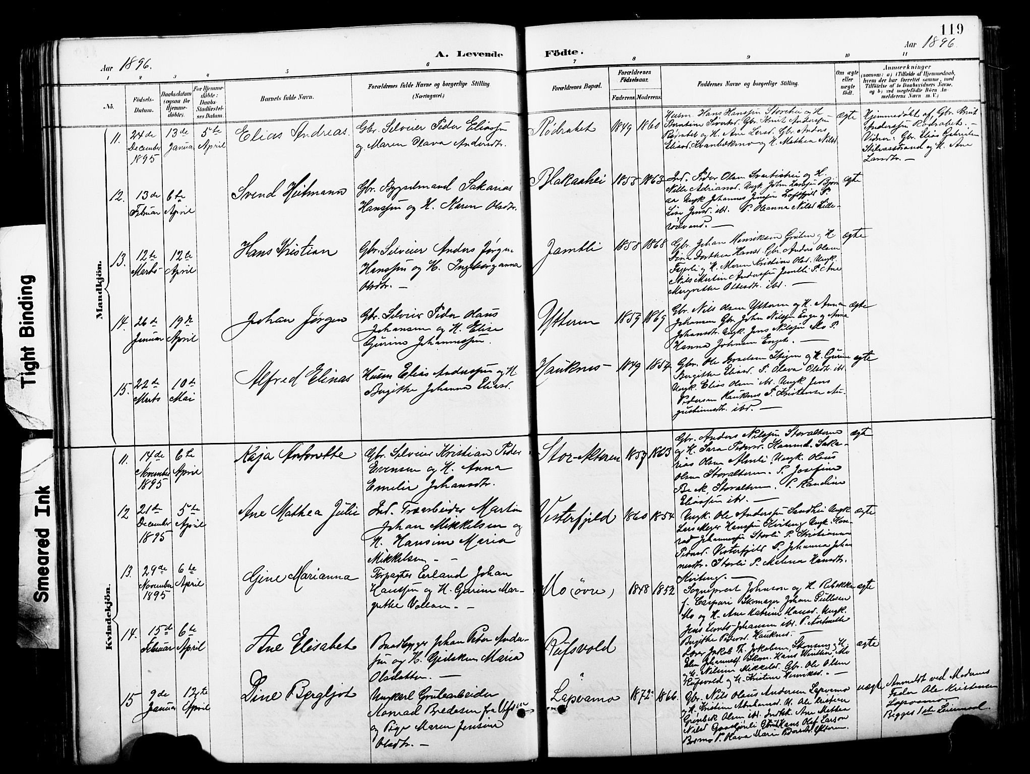 Ministerialprotokoller, klokkerbøker og fødselsregistre - Nordland, SAT/A-1459/827/L0421: Parish register (copy) no. 827C10, 1887-1906, p. 119