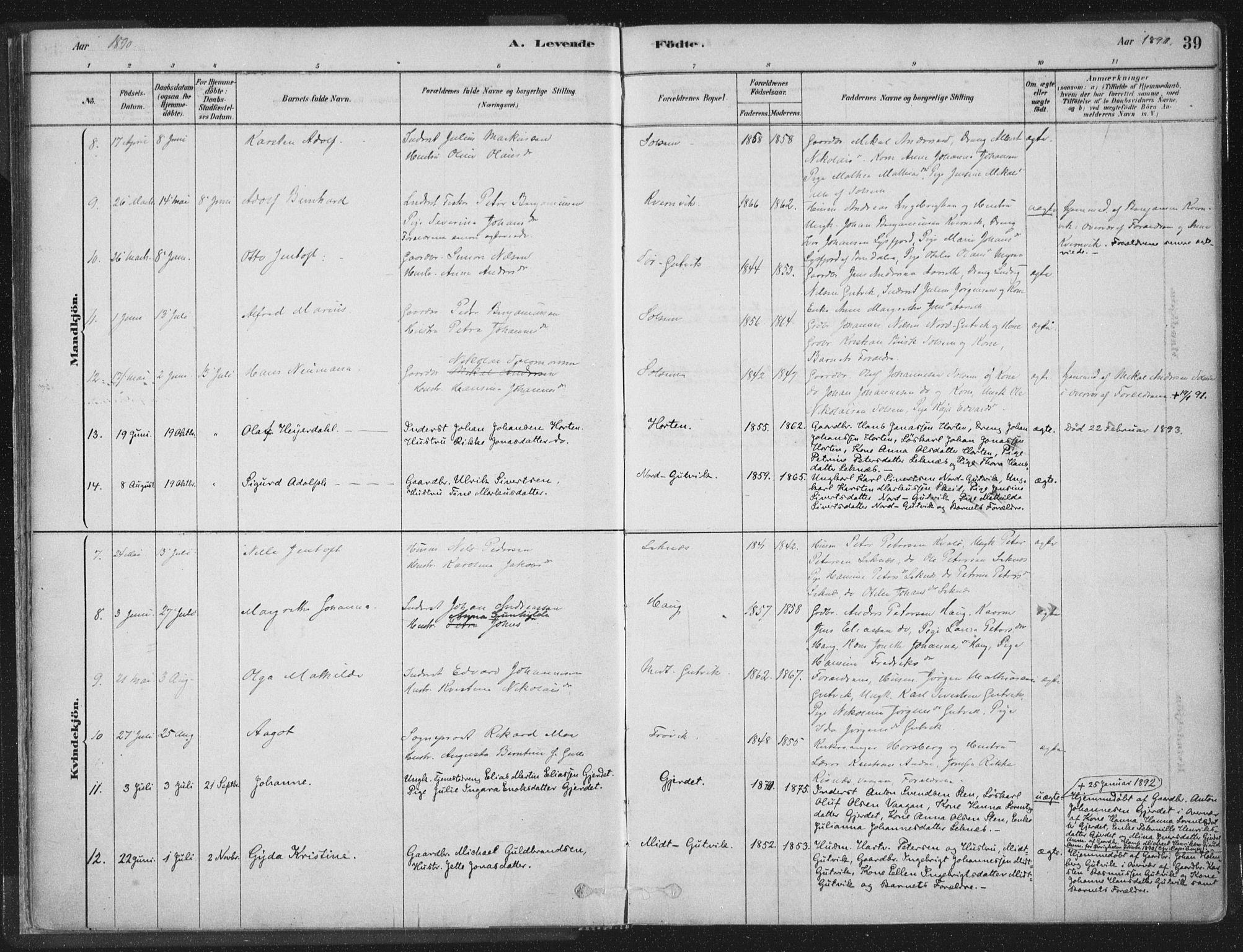 Ministerialprotokoller, klokkerbøker og fødselsregistre - Nord-Trøndelag, AV/SAT-A-1458/788/L0697: Parish register (official) no. 788A04, 1878-1902, p. 39