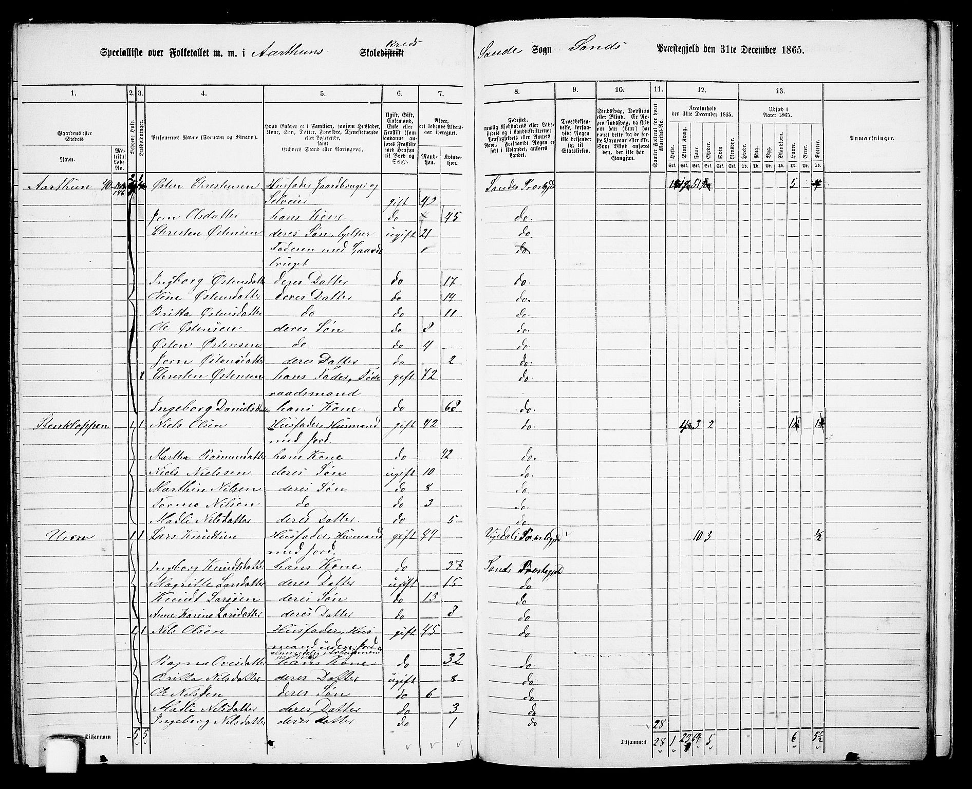 RA, 1865 census for Sand, 1865, p. 140