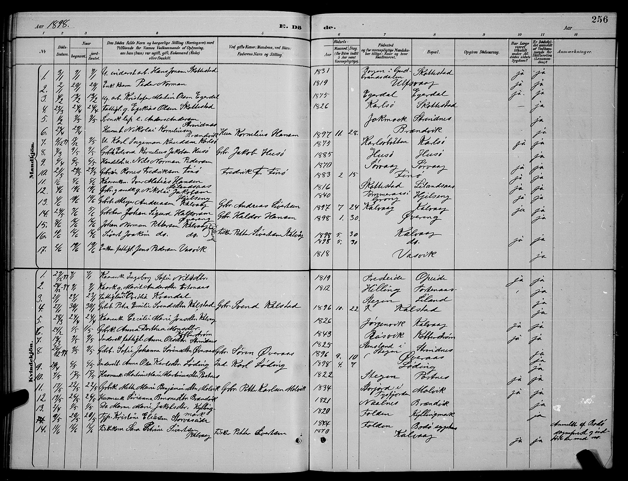Ministerialprotokoller, klokkerbøker og fødselsregistre - Nordland, SAT/A-1459/859/L0859: Parish register (copy) no. 859C05, 1887-1898, p. 256