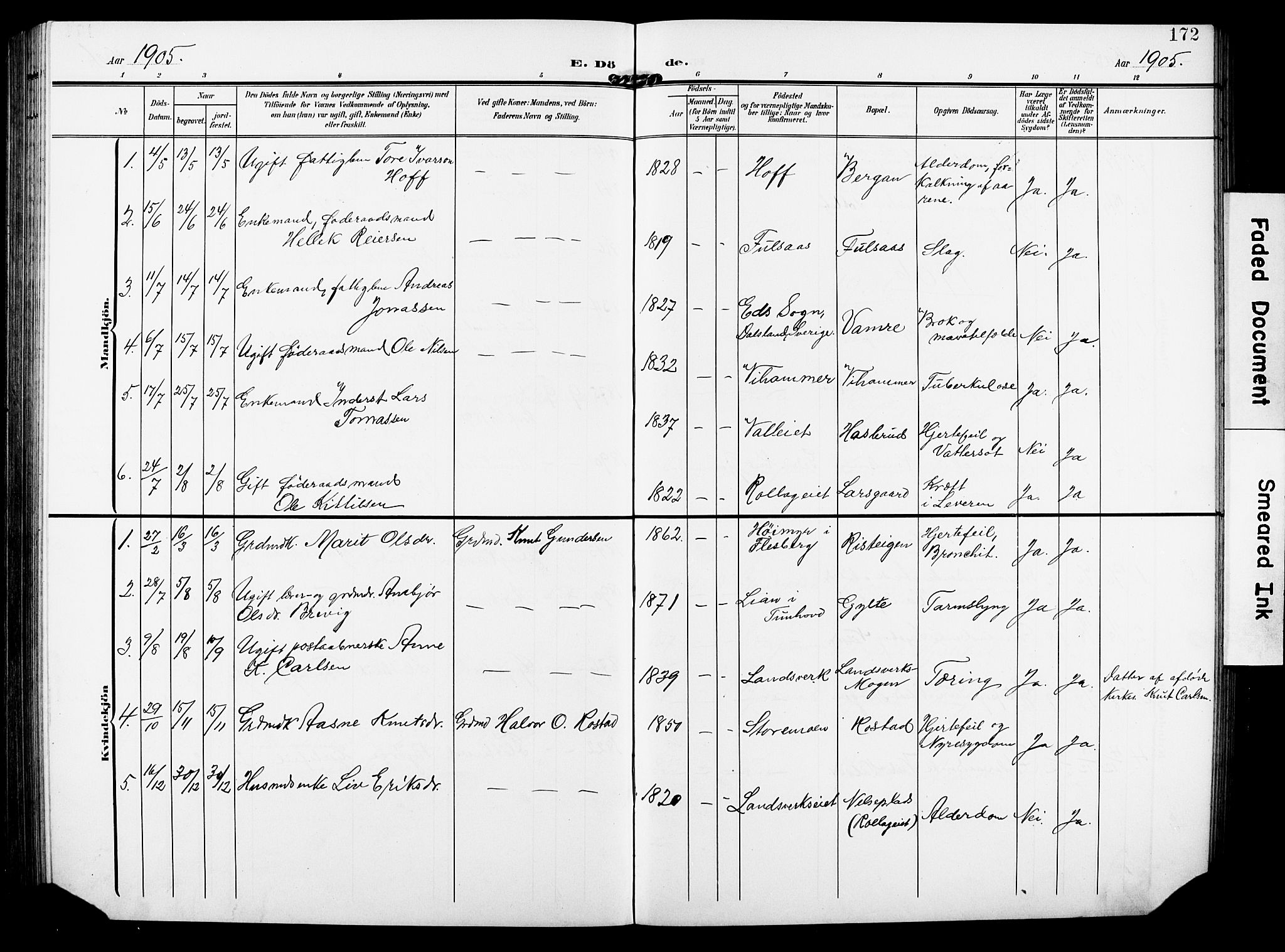 Rollag kirkebøker, SAKO/A-240/G/Ga/L0005: Parish register (copy) no. I 5, 1904-1932, p. 172