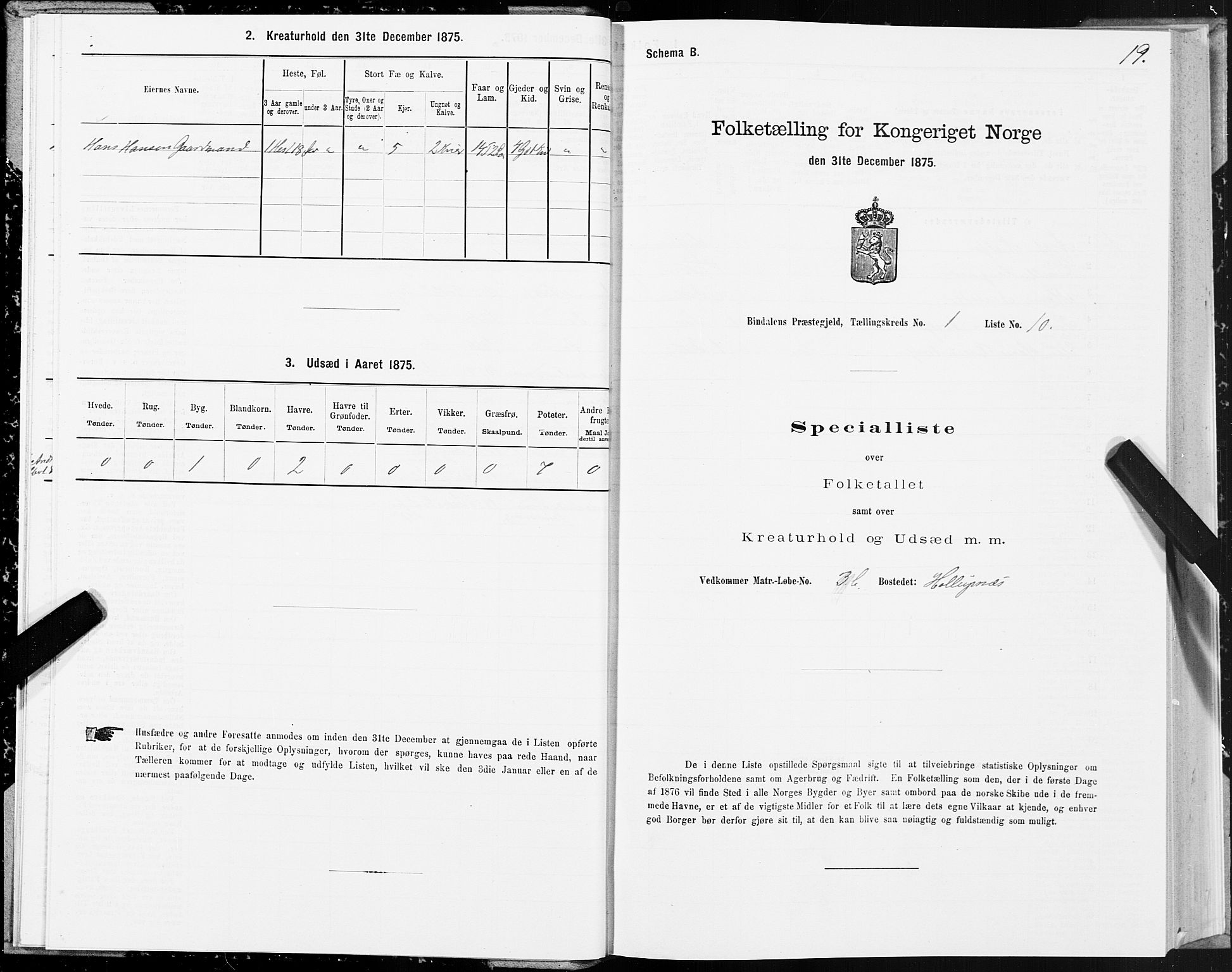 SAT, 1875 census for 1811P Bindal, 1875, p. 1019
