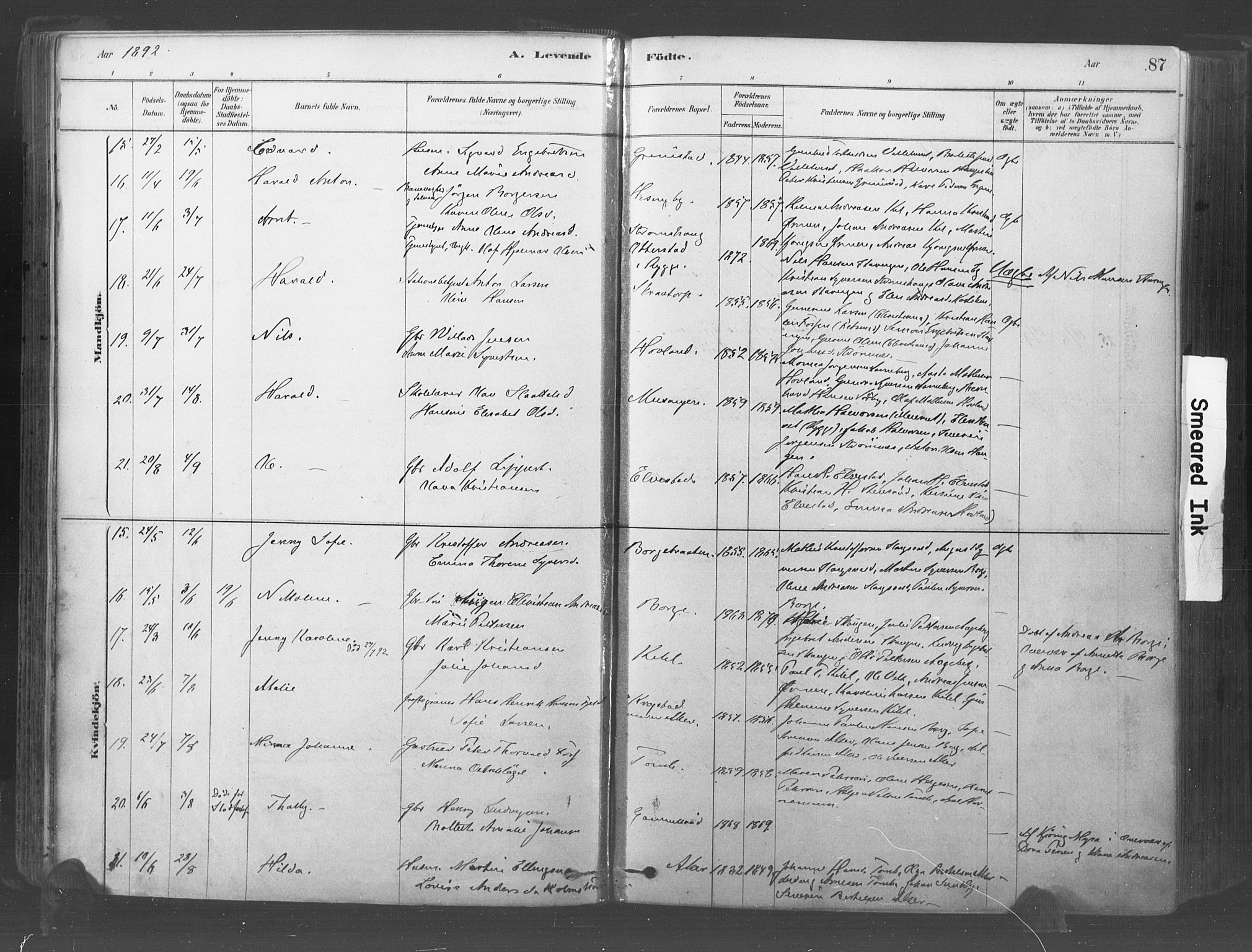 Råde prestekontor kirkebøker, AV/SAO-A-2009/F/Fa/L0007: Parish register (official) no. 7, 1878-1902, p. 87