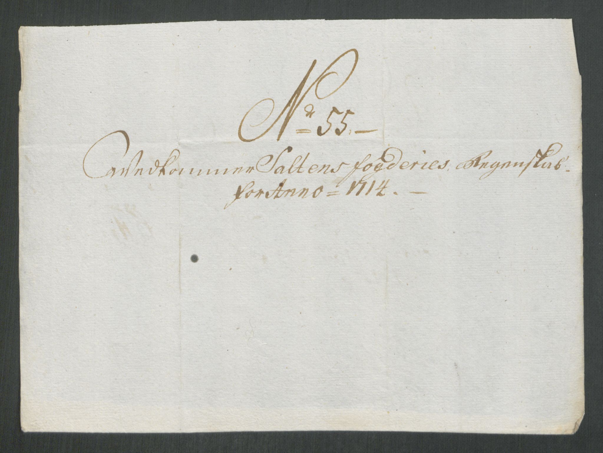 Rentekammeret inntil 1814, Reviderte regnskaper, Fogderegnskap, AV/RA-EA-4092/R66/L4584: Fogderegnskap Salten, 1714, p. 320