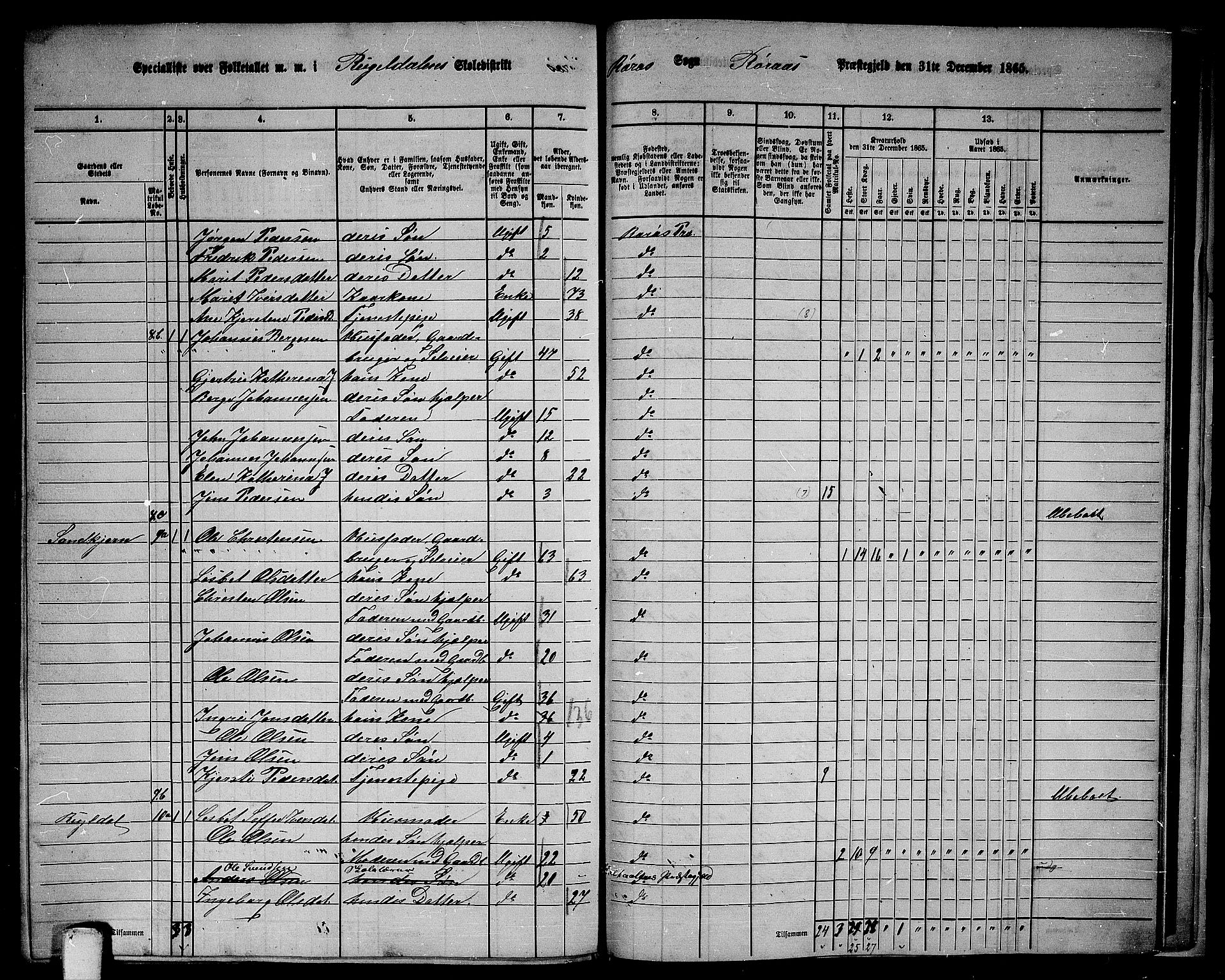 RA, 1865 census for Røros, 1865, p. 151