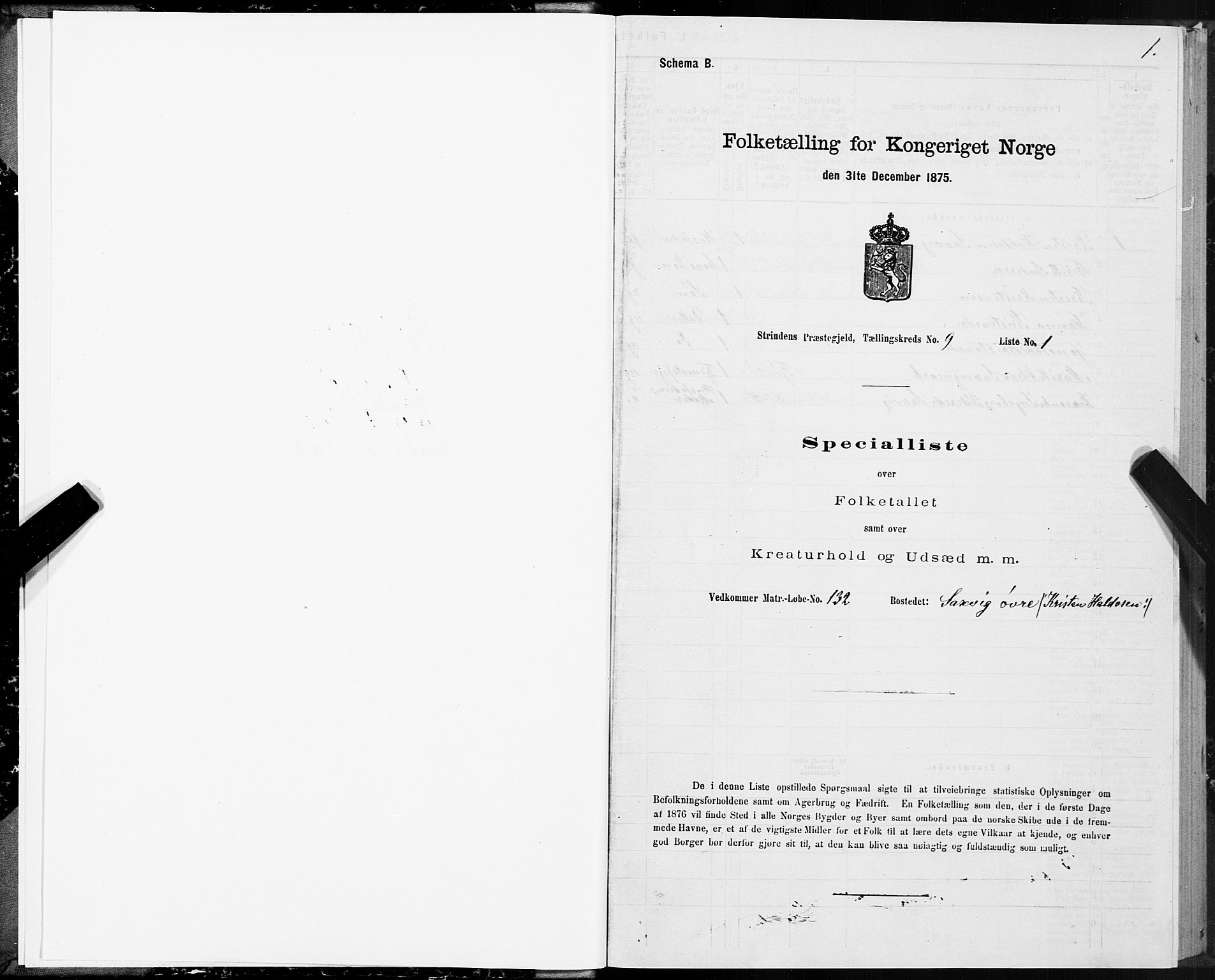 SAT, 1875 census for 1660P Strinda, 1875, p. 5001