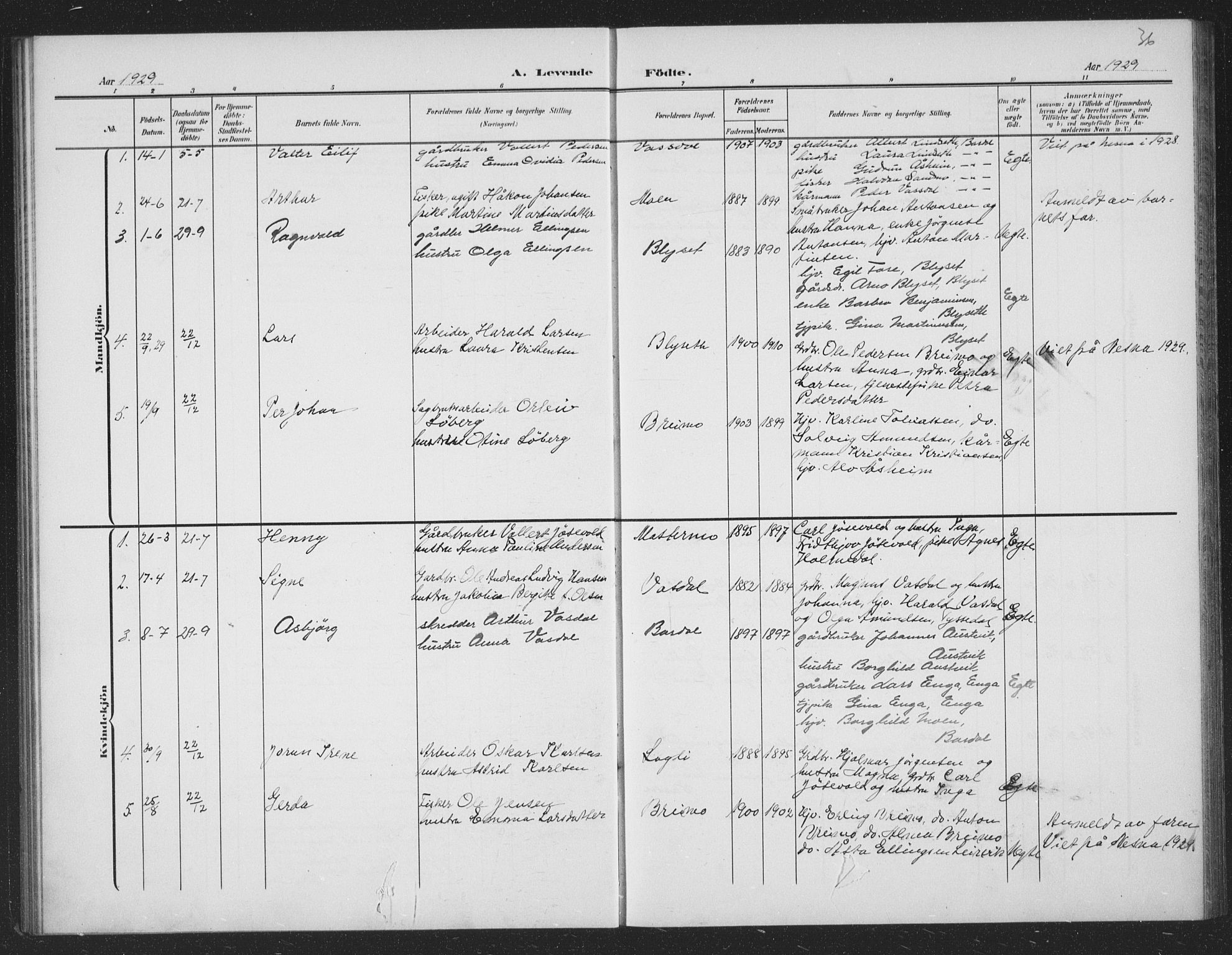 Ministerialprotokoller, klokkerbøker og fødselsregistre - Nordland, AV/SAT-A-1459/833/L0502: Parish register (copy) no. 833C01, 1906-1934, p. 36