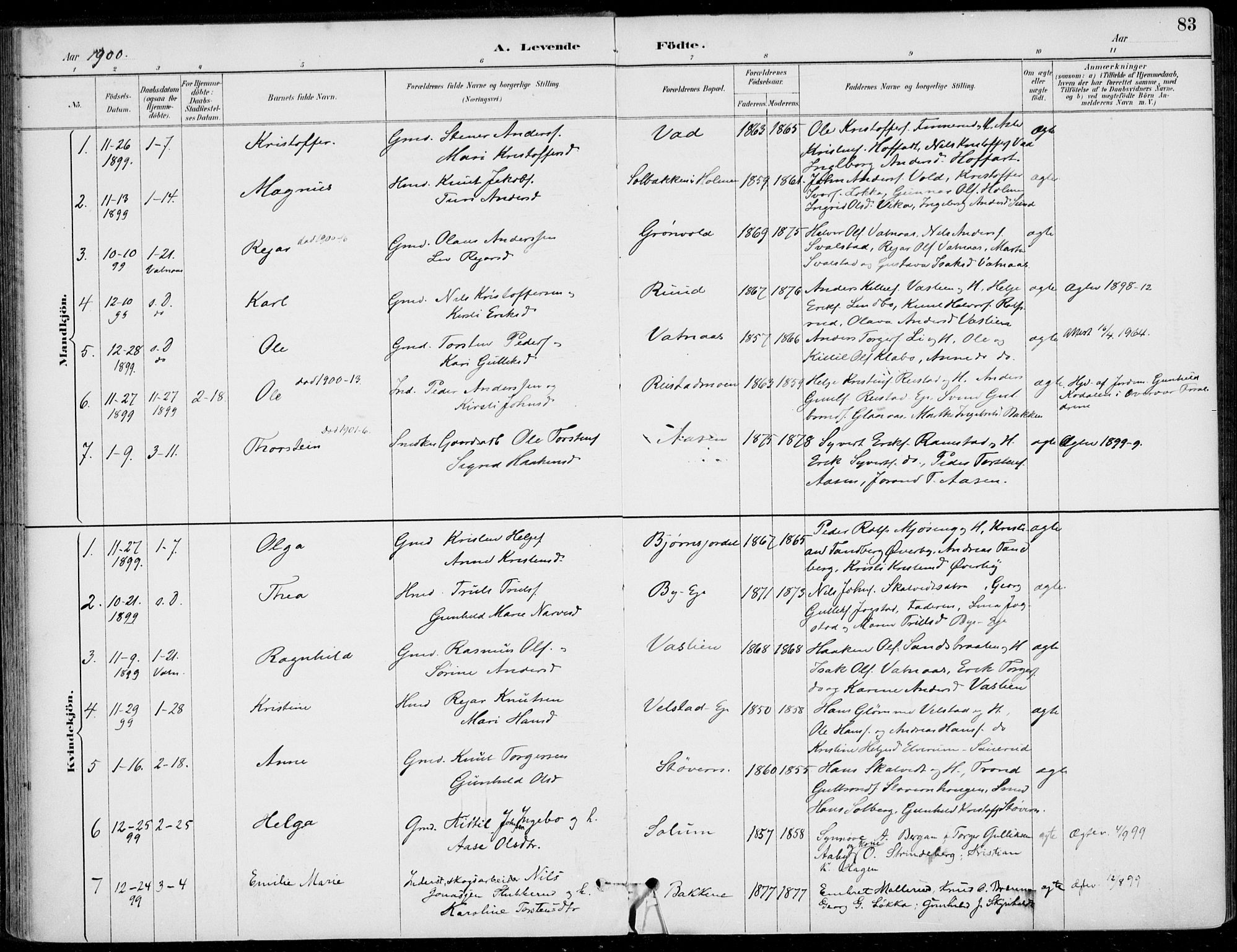 Sigdal kirkebøker, SAKO/A-245/F/Fb/L0001: Parish register (official) no. II 1, 1888-1900, p. 83