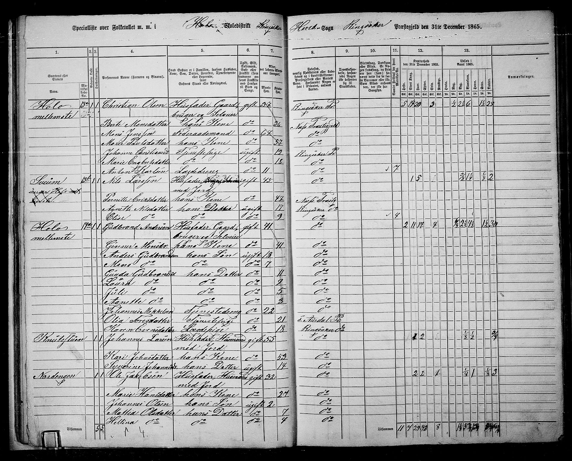 RA, 1865 census for Ringsaker, 1865, p. 35