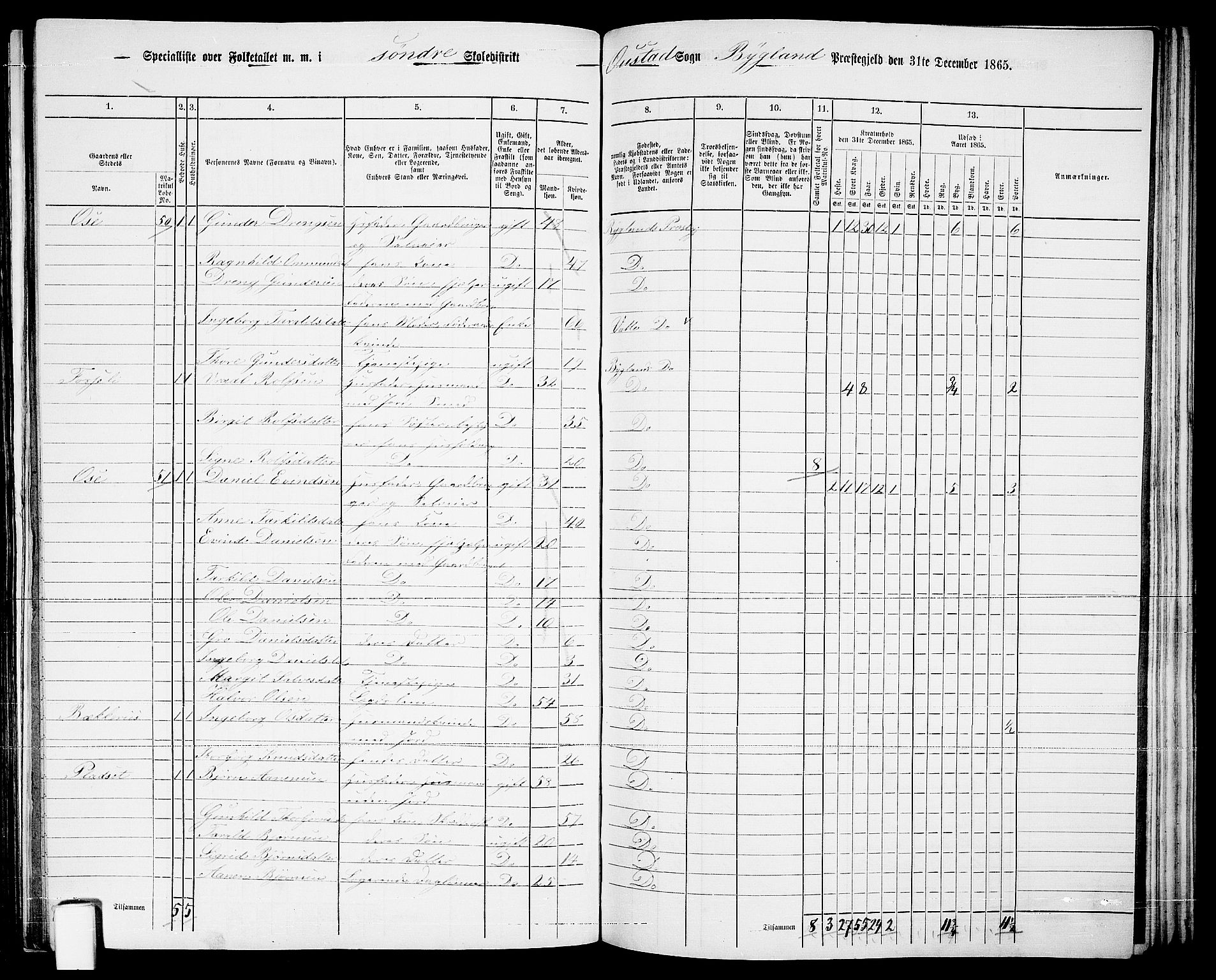 RA, 1865 census for Bygland, 1865, p. 29