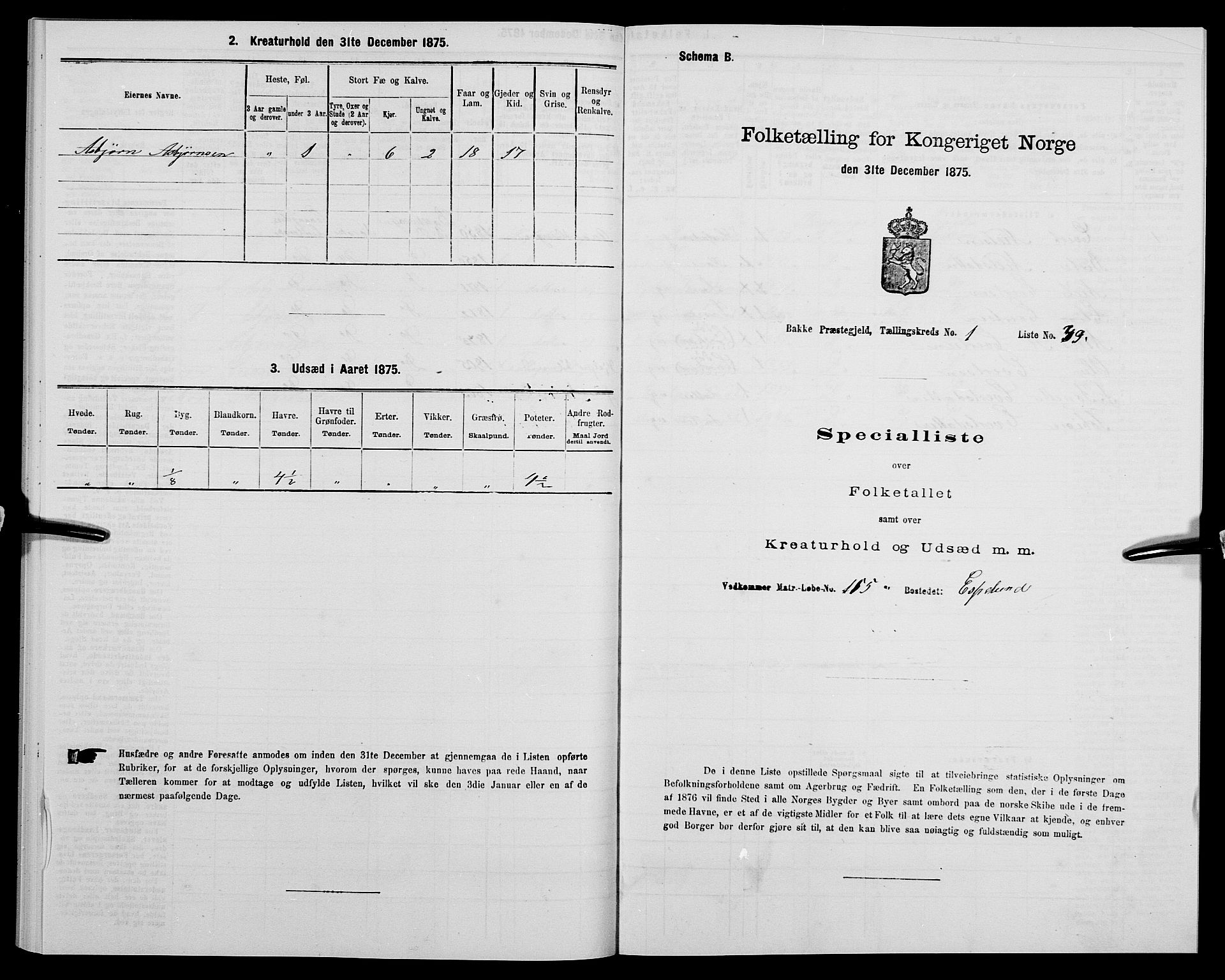 SAK, 1875 census for 1045P Bakke, 1875, p. 134