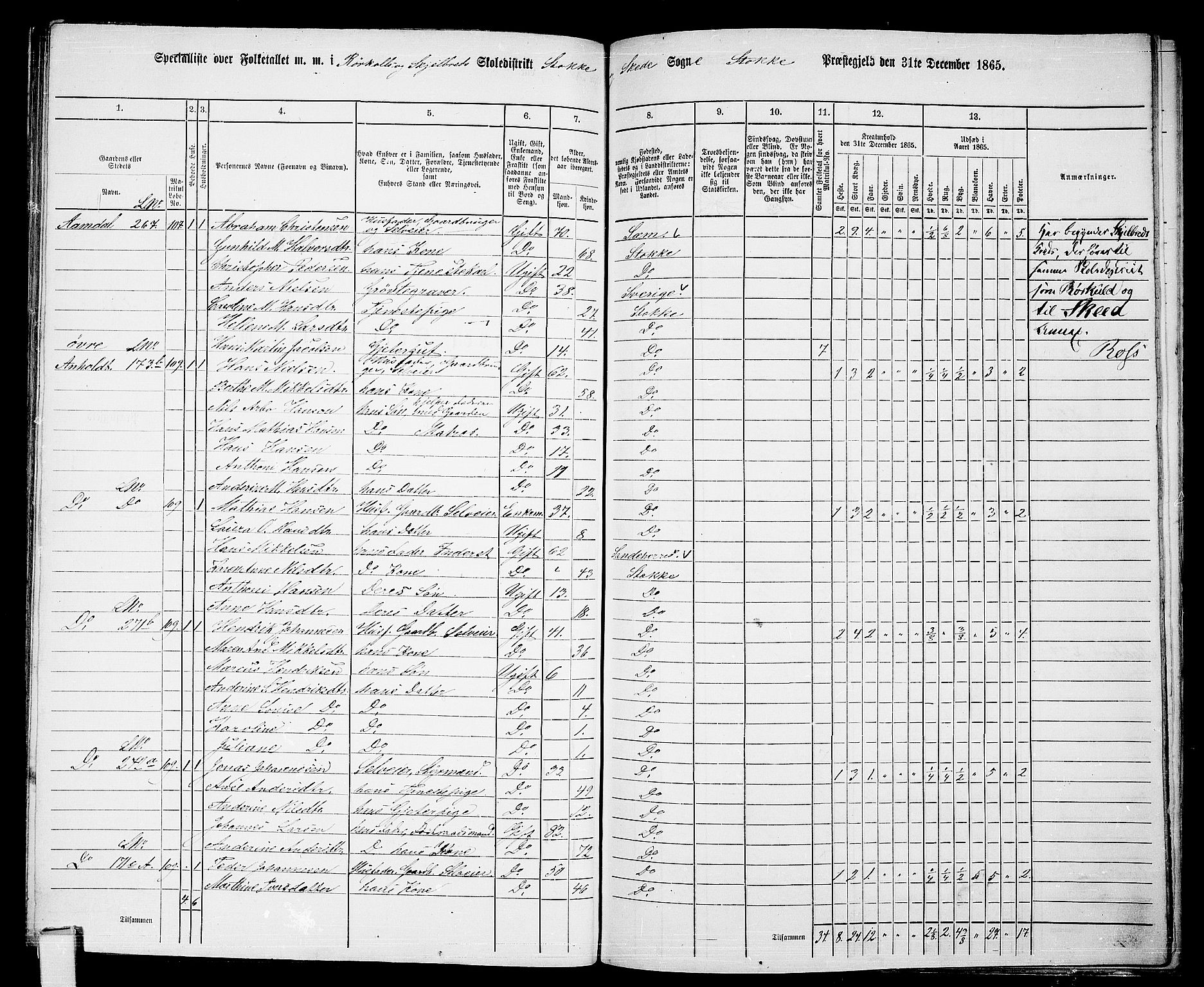 RA, 1865 census for Stokke, 1865, p. 118