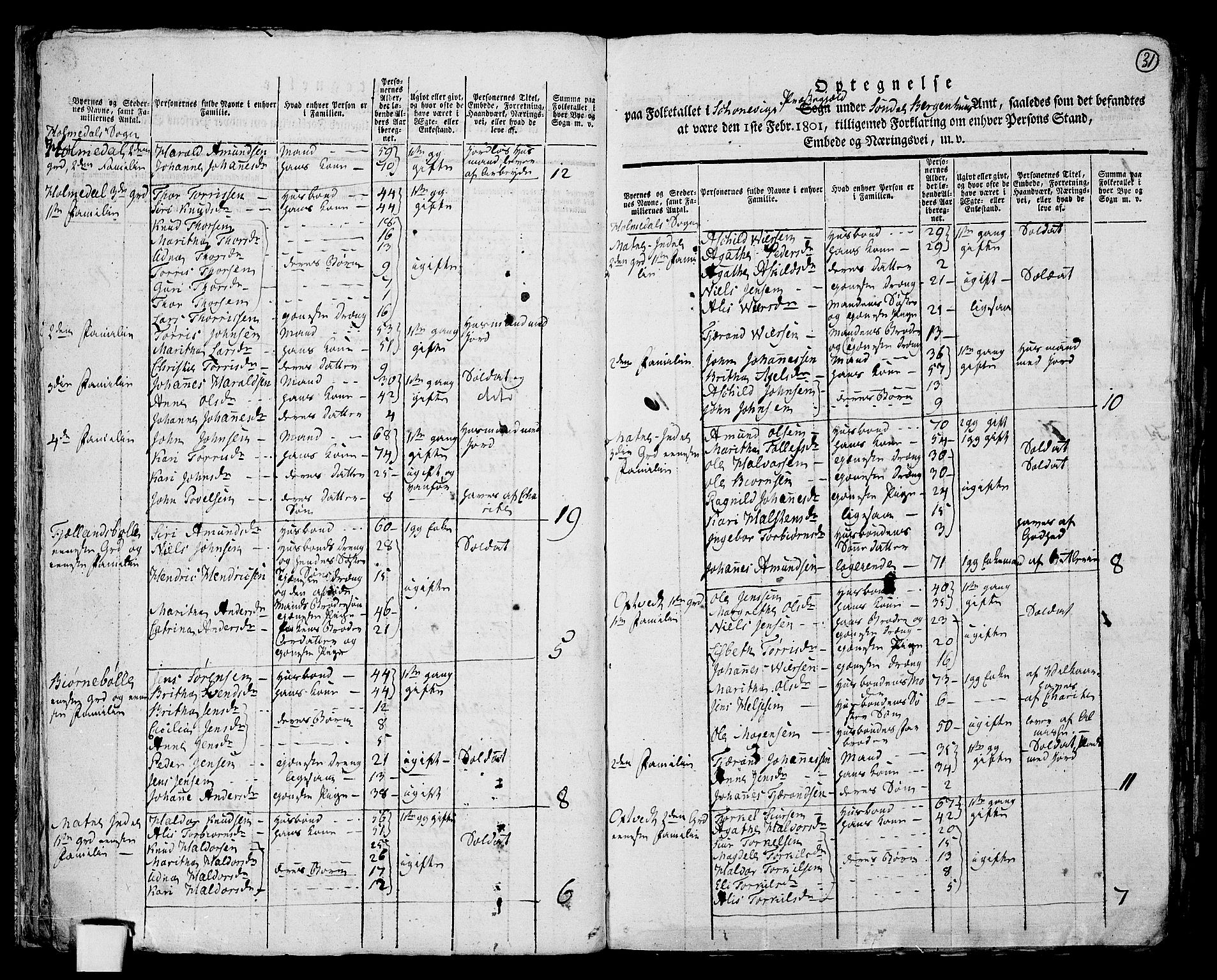 RA, 1801 census for 1212P Skånevik, 1801, p. 30b-31a