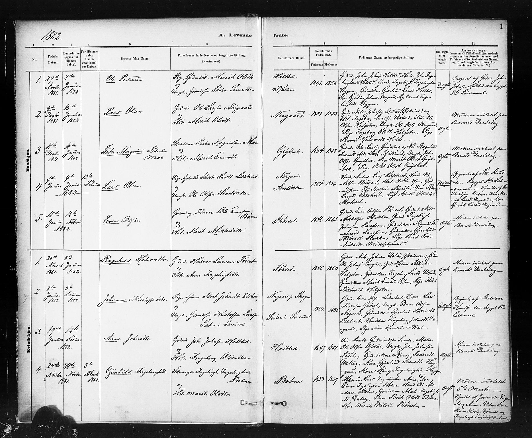 Ministerialprotokoller, klokkerbøker og fødselsregistre - Møre og Romsdal, SAT/A-1454/598/L1069: Parish register (official) no. 598A03, 1882-1895, p. 1