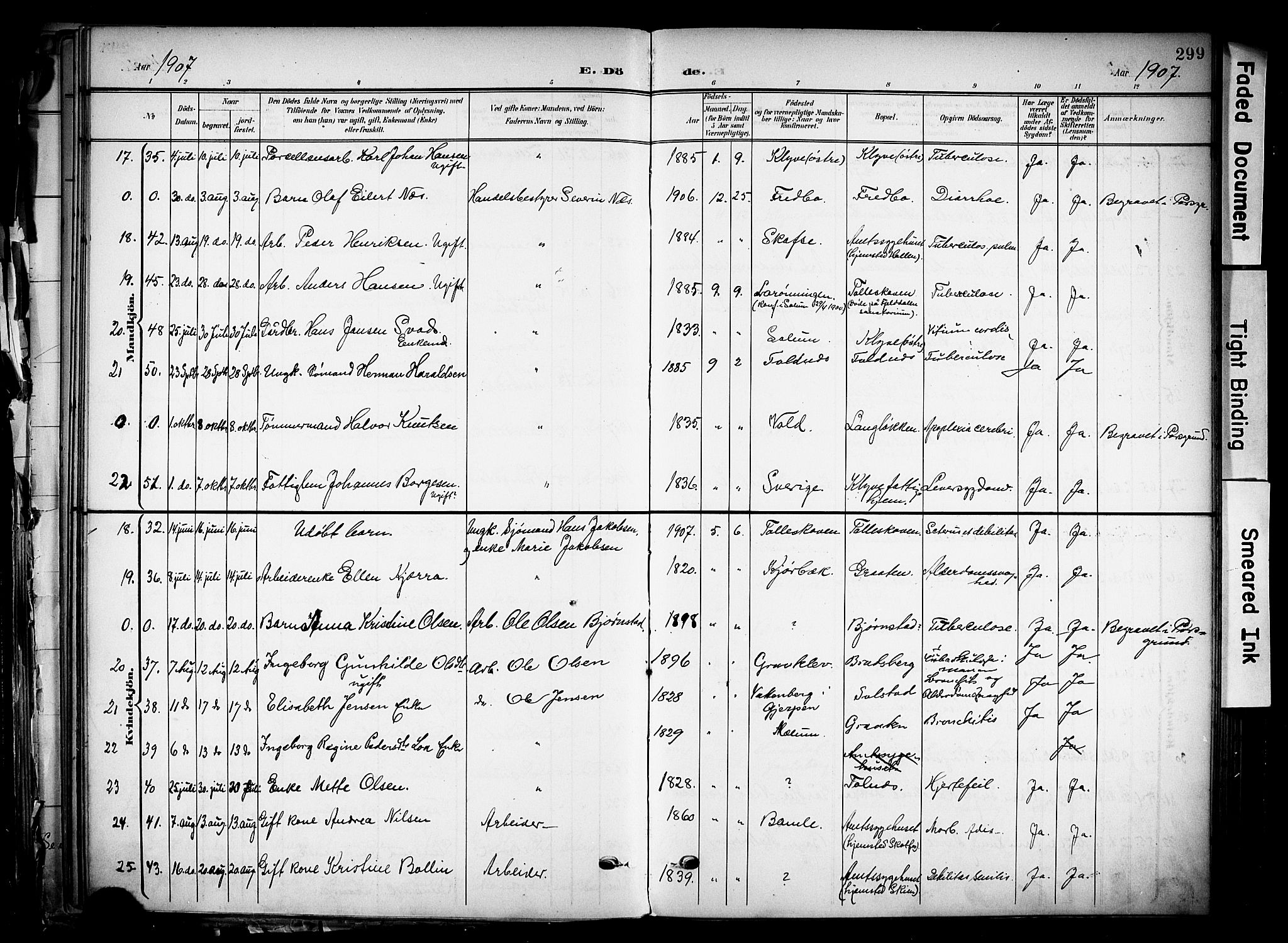 Solum kirkebøker, AV/SAKO-A-306/F/Fa/L0011: Parish register (official) no. I 11, 1898-1909, p. 299