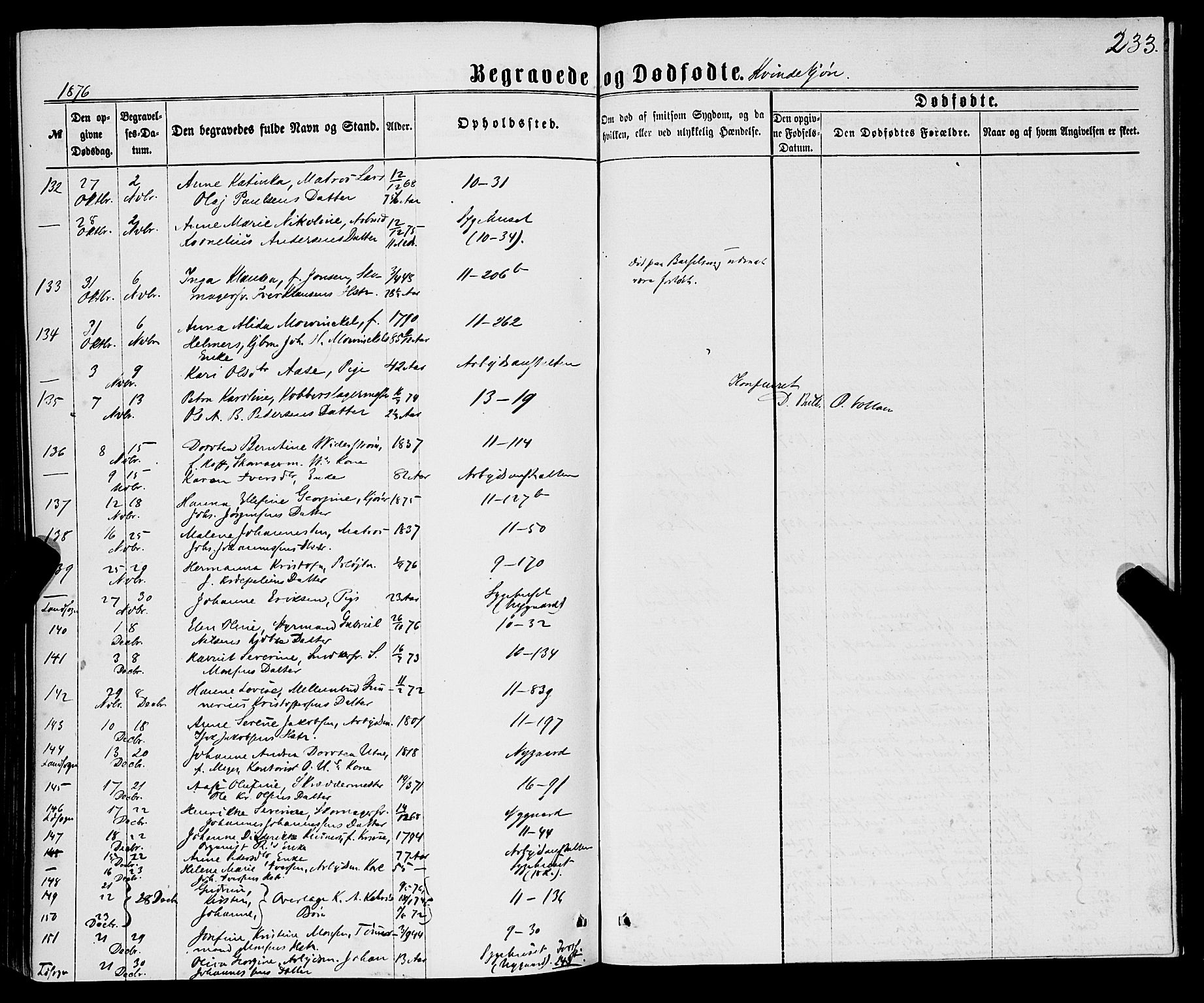 Domkirken sokneprestembete, AV/SAB-A-74801/H/Haa/L0042: Parish register (official) no. E 3, 1863-1876, p. 233