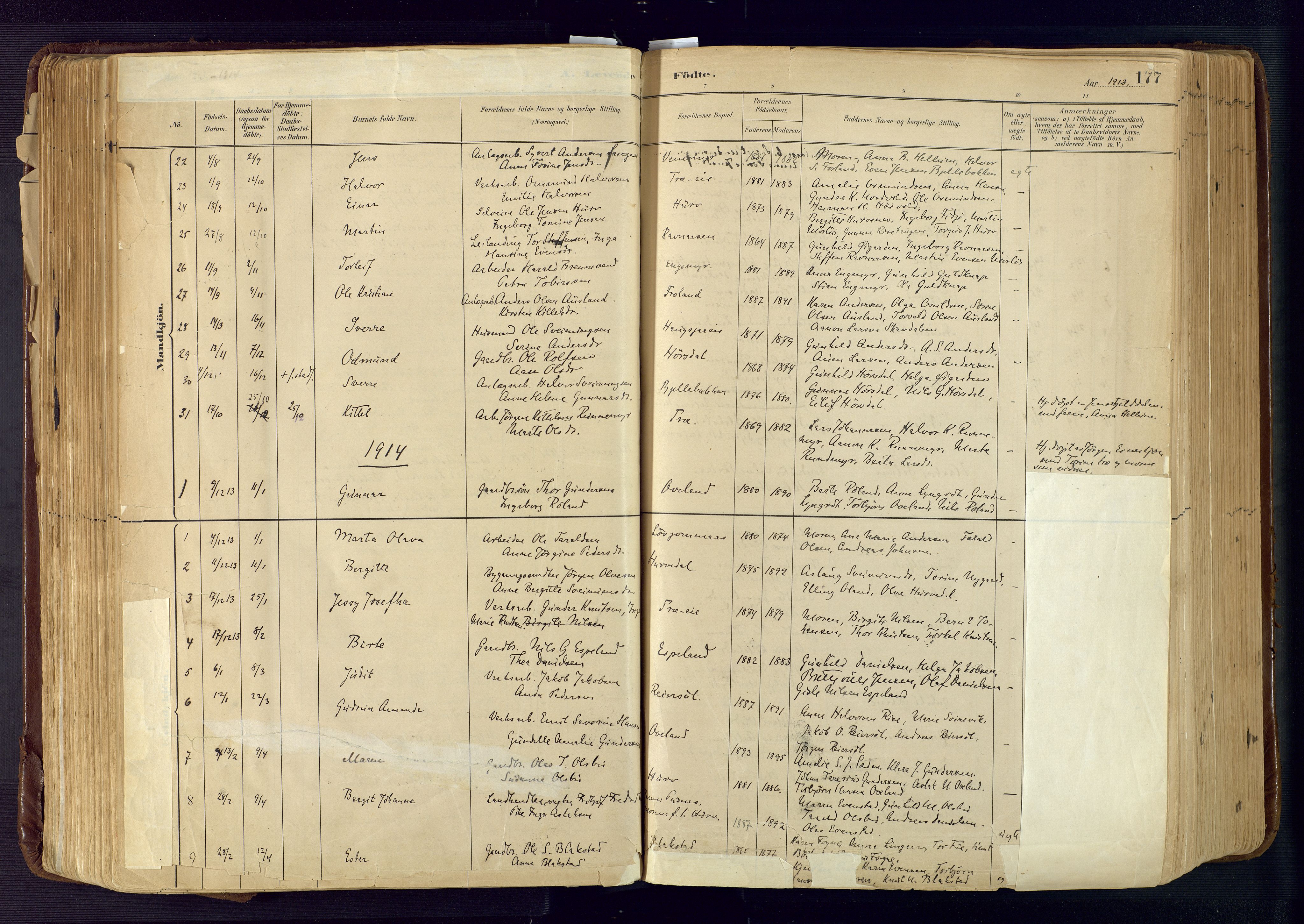 Froland sokneprestkontor, SAK/1111-0013/F/Fa/L0005: Parish register (official) no. A 5, 1882-1921, p. 177