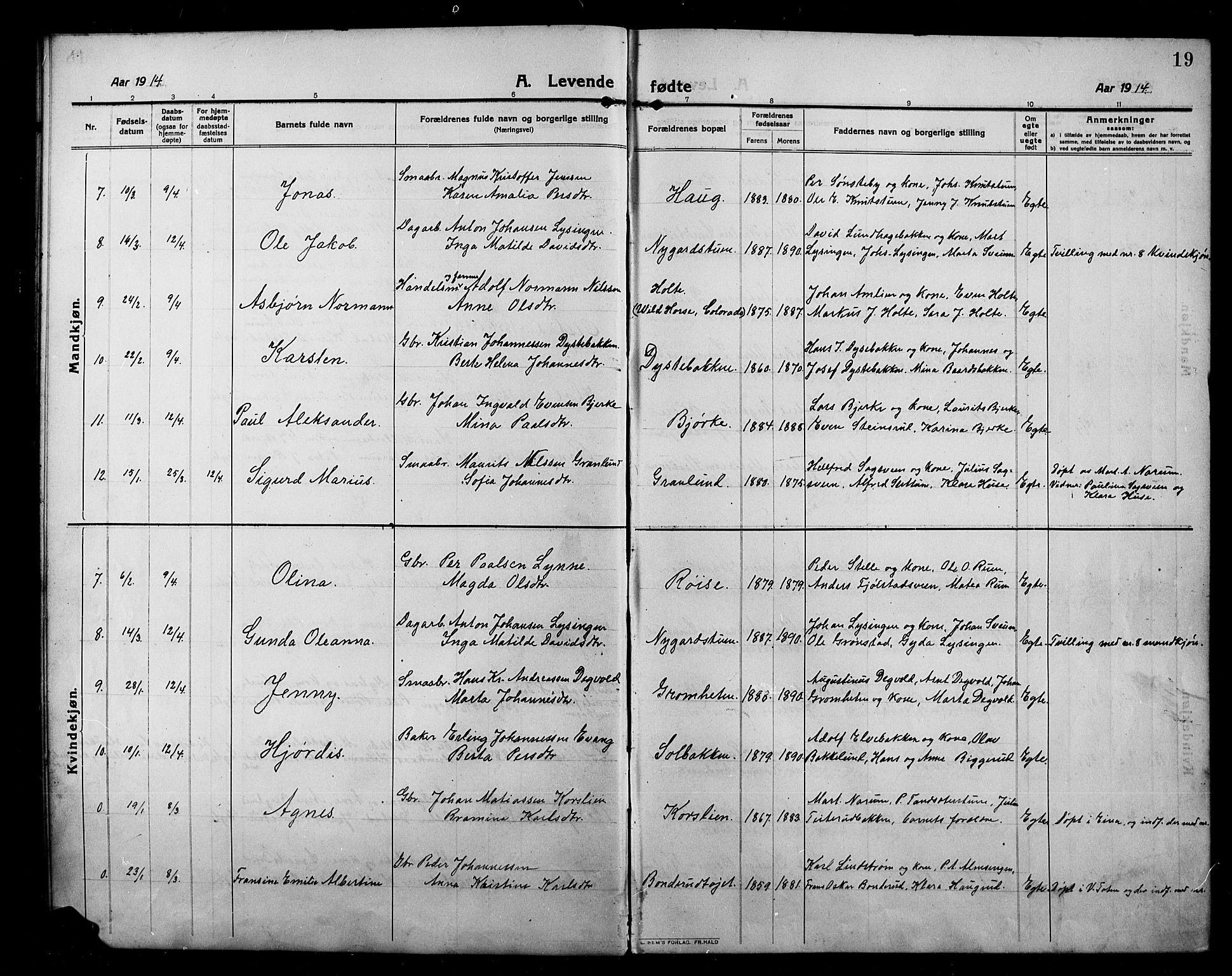 Kolbu prestekontor, SAH/PREST-110/H/Ha/Hab/L0001: Parish register (copy) no. 1, 1912-1925, p. 19