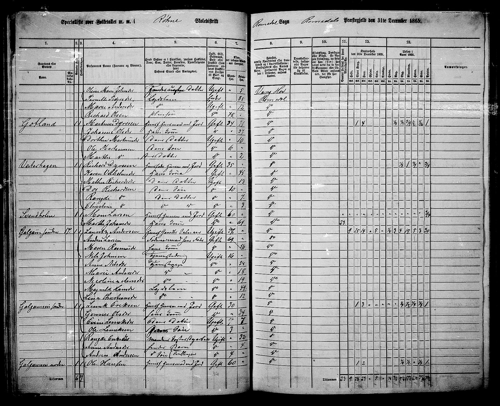RA, 1865 census for Romedal, 1865, p. 46