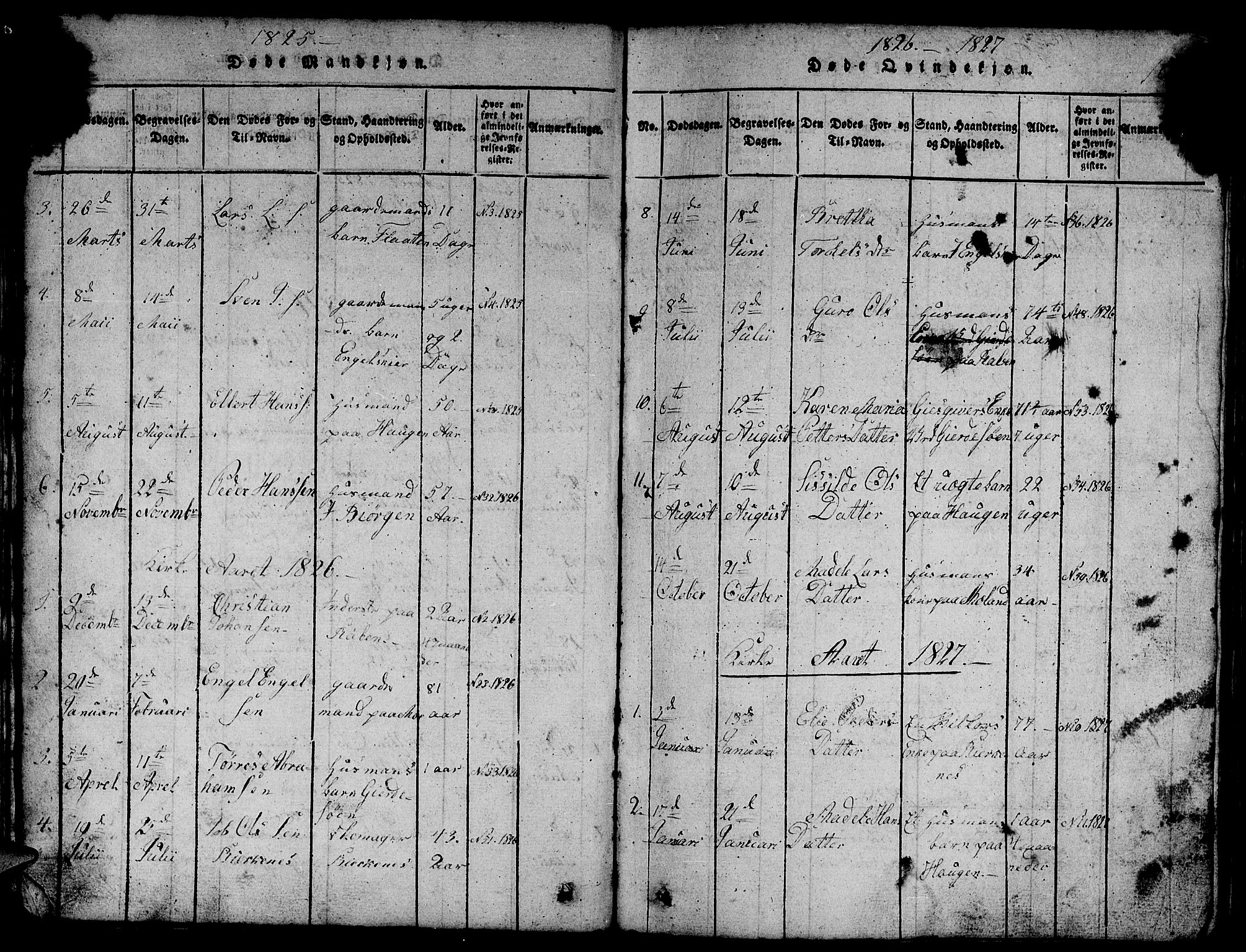 Etne sokneprestembete, SAB/A-75001/H/Hab: Parish register (copy) no. B 1, 1815-1850, p. 102