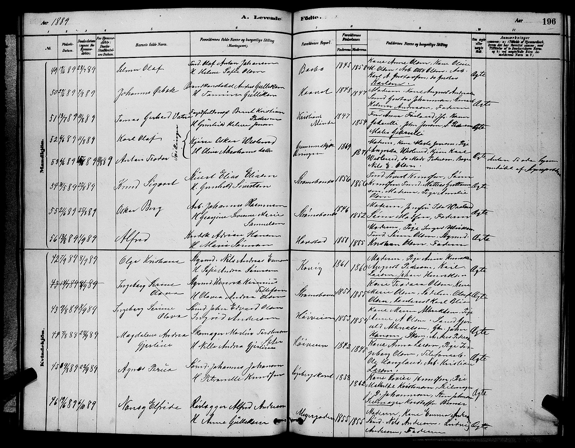 Barbu sokneprestkontor, AV/SAK-1111-0003/F/Fb/L0001: Parish register (copy) no. B 1, 1878-1890, p. 196