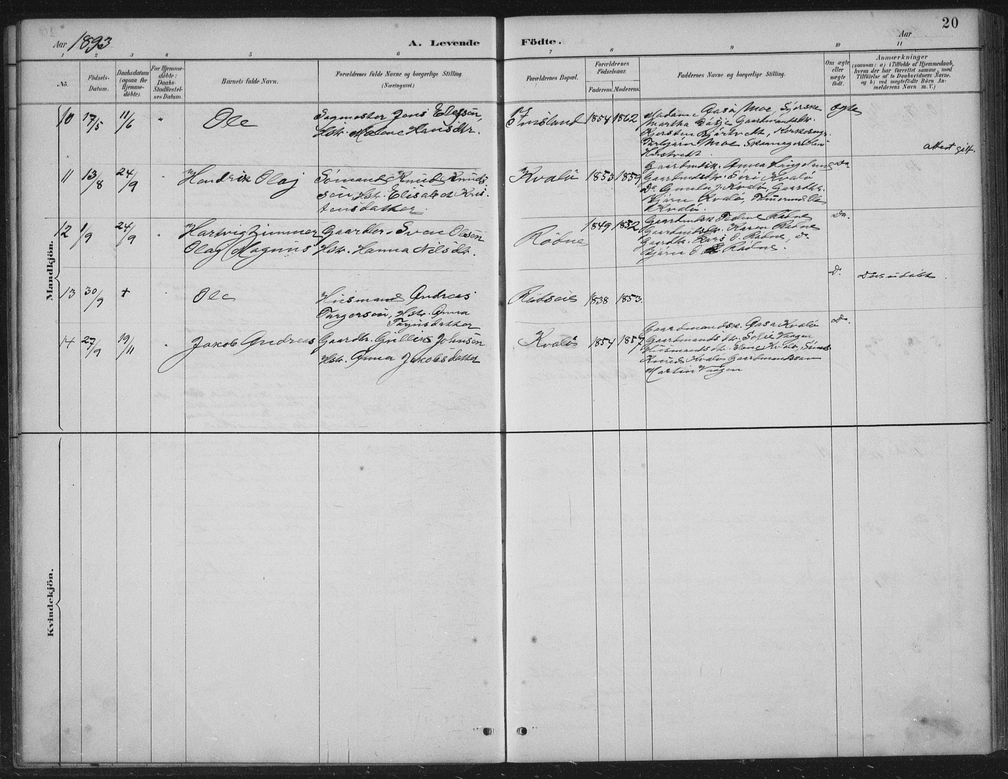 Vikedal sokneprestkontor, AV/SAST-A-101840/01/IV: Parish register (official) no. A 12, 1886-1929, p. 20