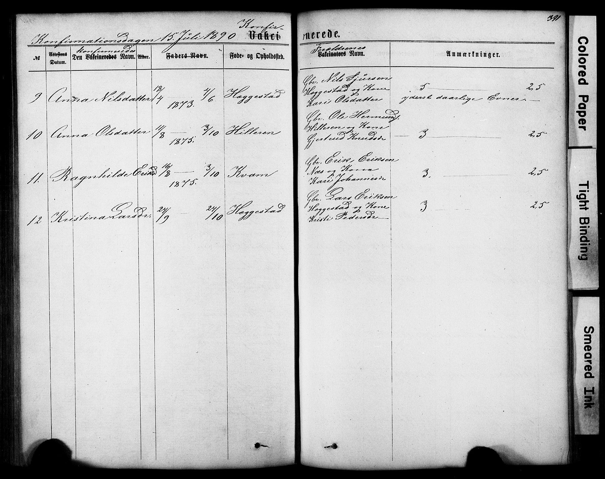 Hafslo sokneprestembete, AV/SAB-A-80301/H/Hab/Haba/L0001: Parish register (copy) no. A 1, 1866-1908, p. 391