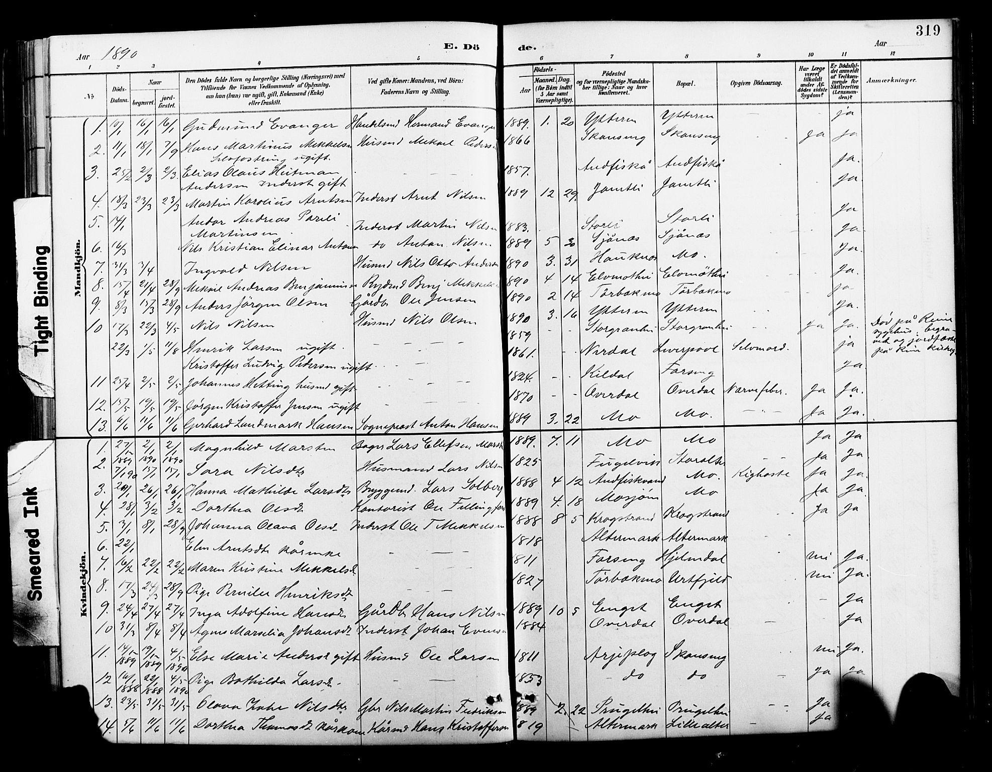 Ministerialprotokoller, klokkerbøker og fødselsregistre - Nordland, AV/SAT-A-1459/827/L0421: Parish register (copy) no. 827C10, 1887-1906, p. 319