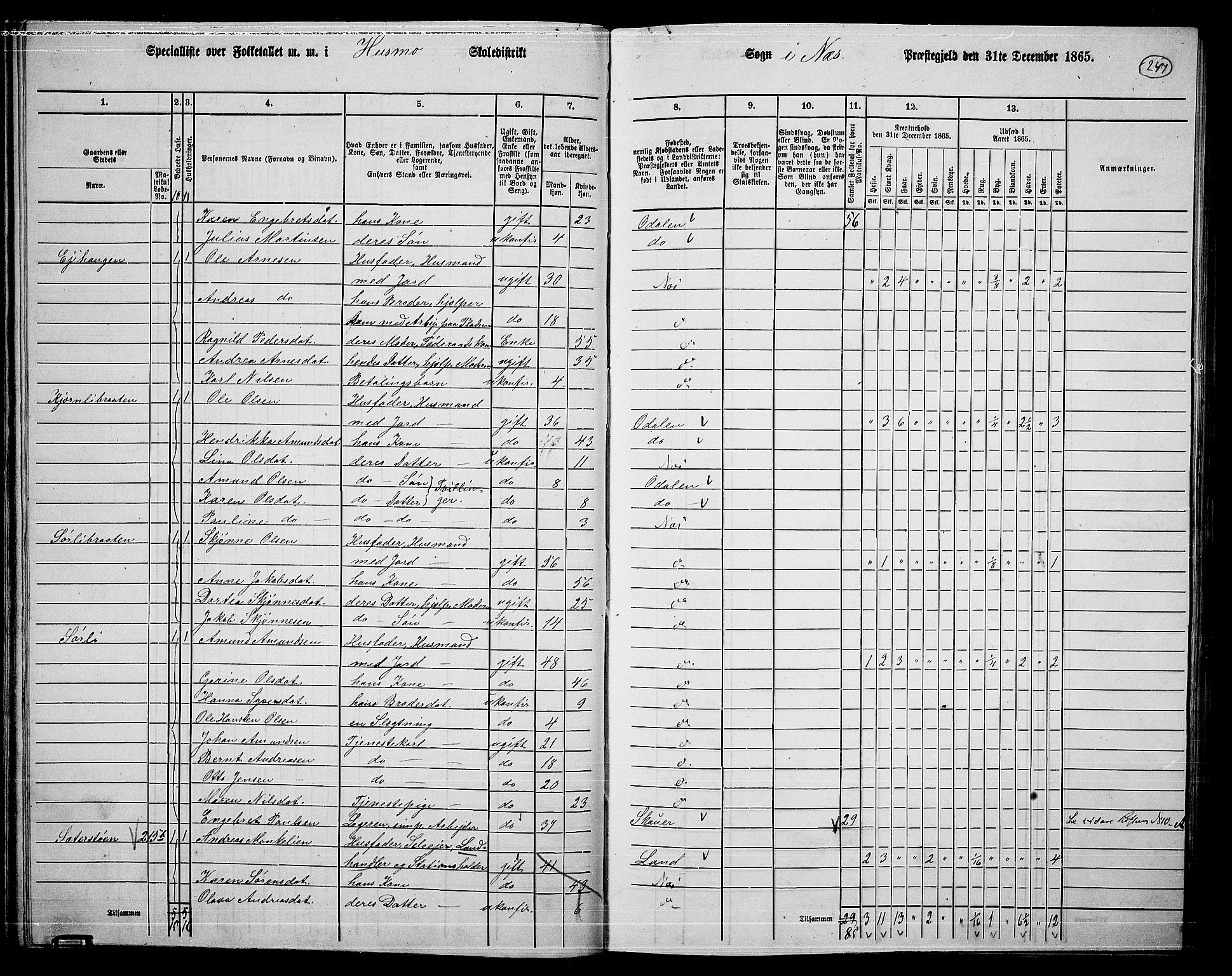 RA, 1865 census for Nes, 1865, p. 230