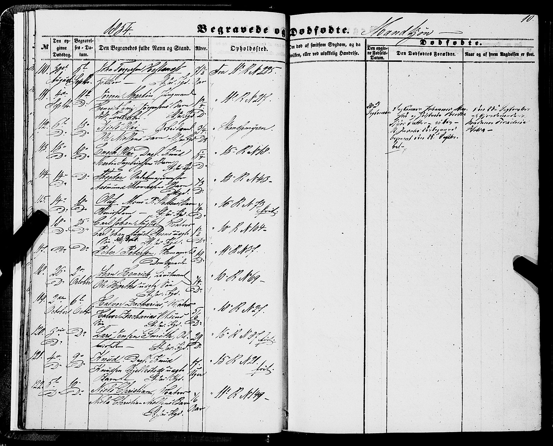 Domkirken sokneprestembete, AV/SAB-A-74801/H/Haa/L0041: Parish register (official) no. E 2, 1853-1863, p. 10