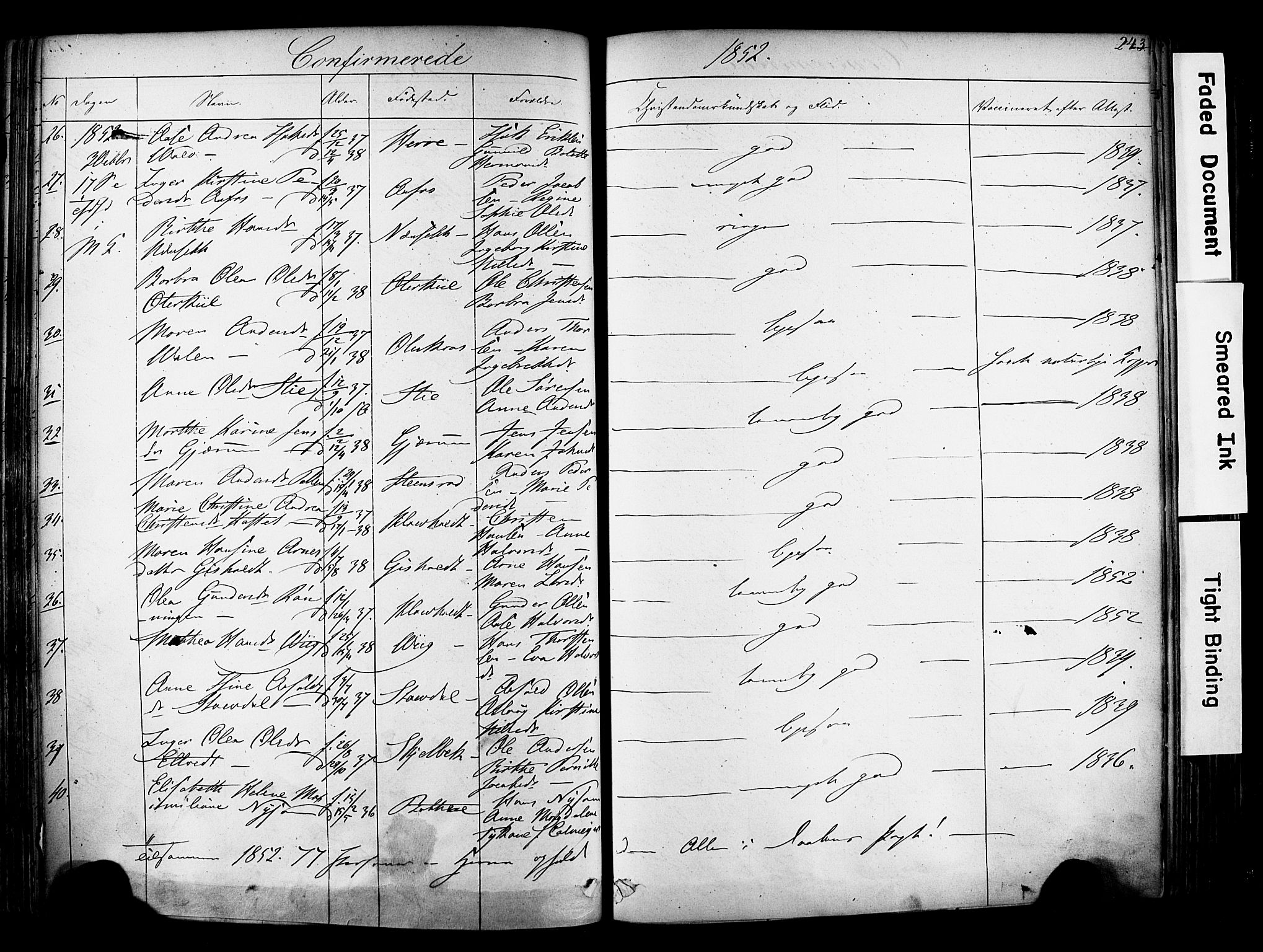 Solum kirkebøker, SAKO/A-306/F/Fa/L0006: Parish register (official) no. I 6, 1844-1855, p. 243