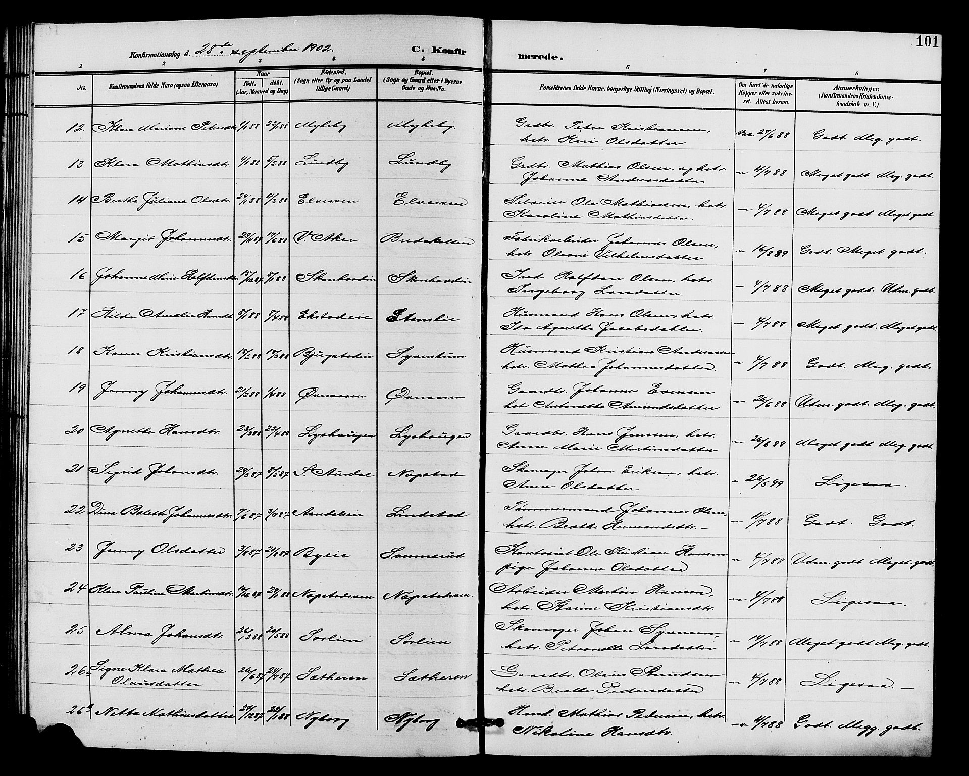 Vardal prestekontor, SAH/PREST-100/H/Ha/Hab/L0011: Parish register (copy) no. 11, 1899-1913, p. 101