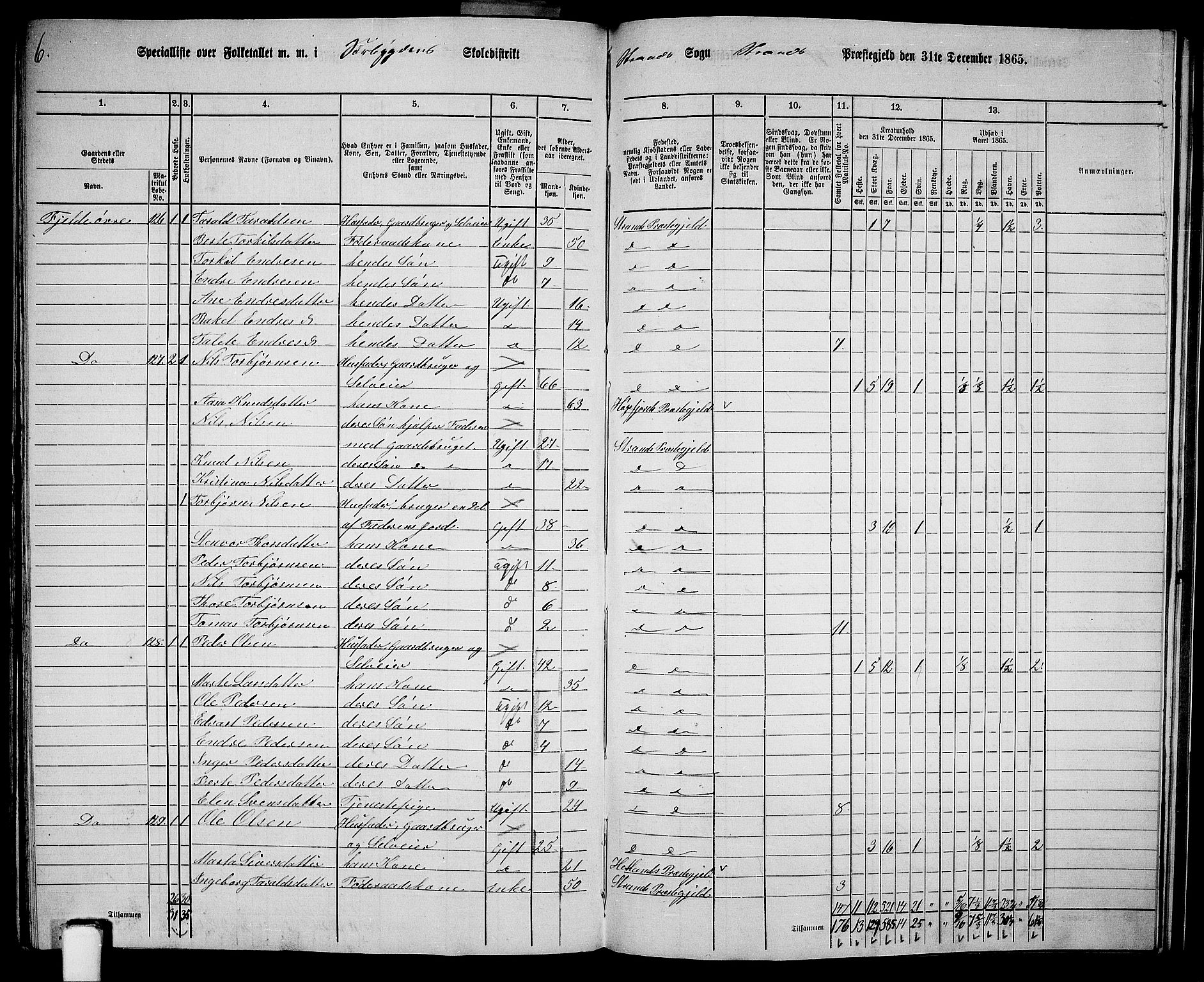 RA, 1865 census for Strand, 1865, p. 73