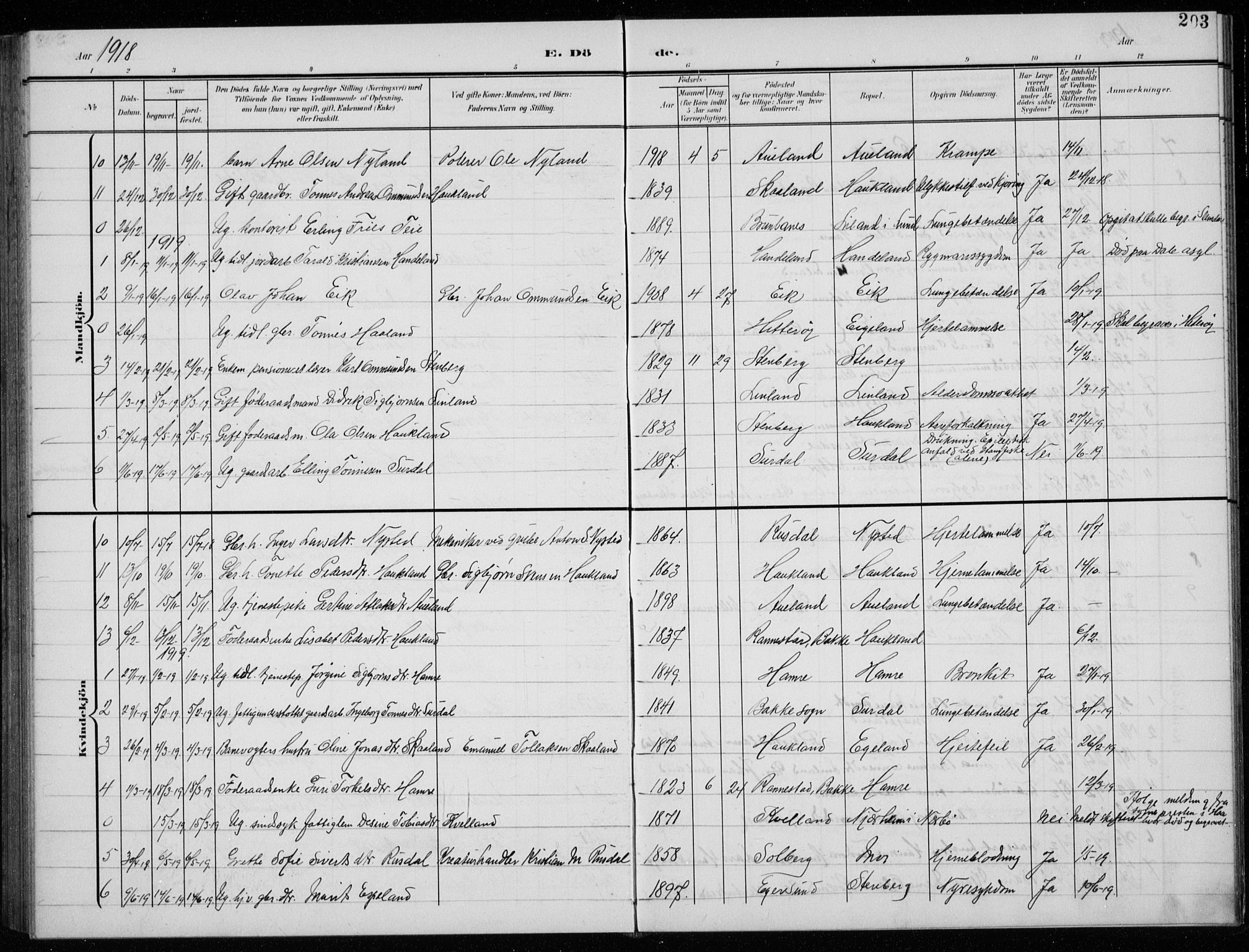 Lund sokneprestkontor, AV/SAST-A-101809/S07/L0008: Parish register (copy) no. B 8, 1902-1936, p. 203