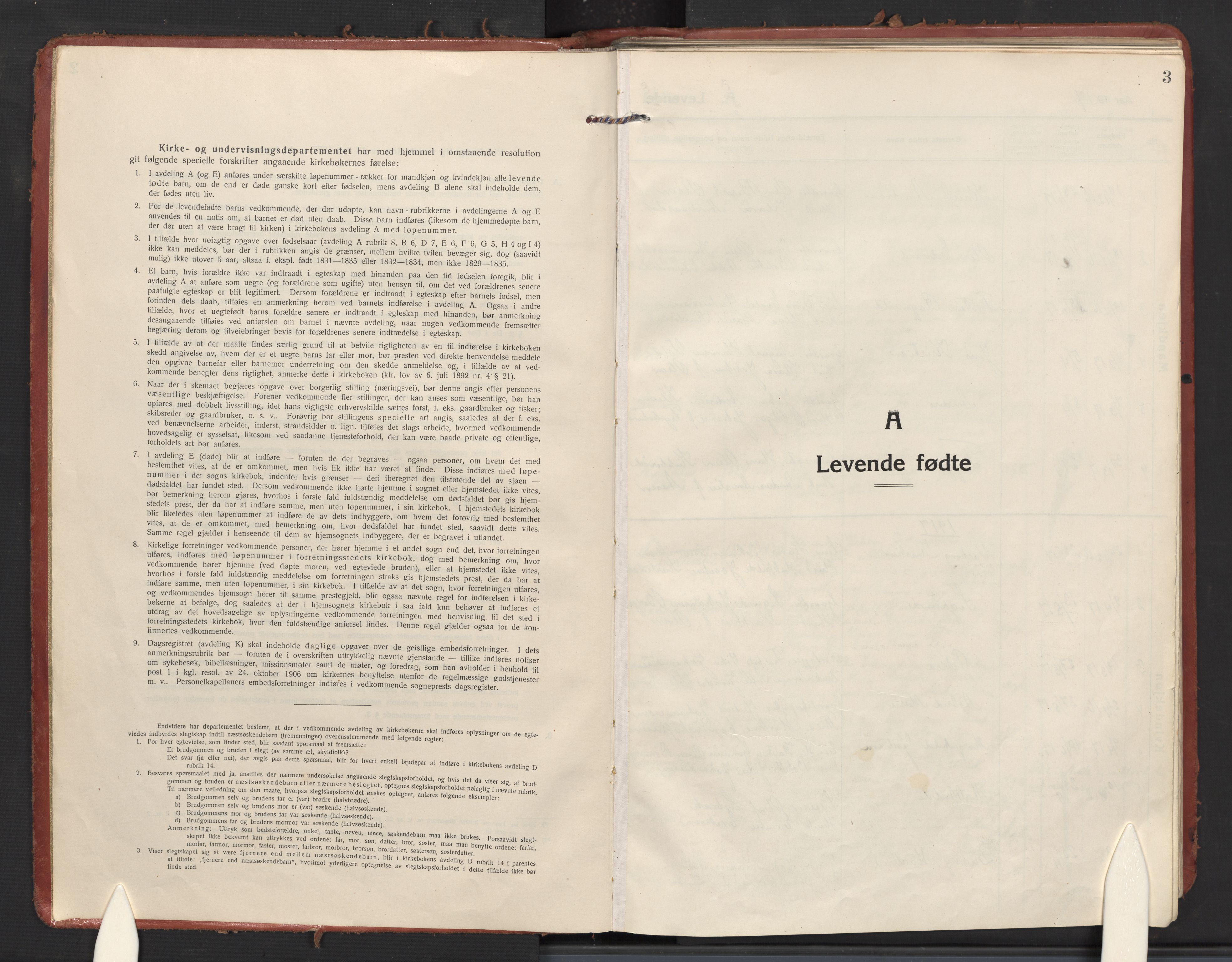 Berg prestekontor Kirkebøker, SAO/A-10902/F/Fc/L0004: Parish register (official) no. III 4, 1917-1939, p. 3